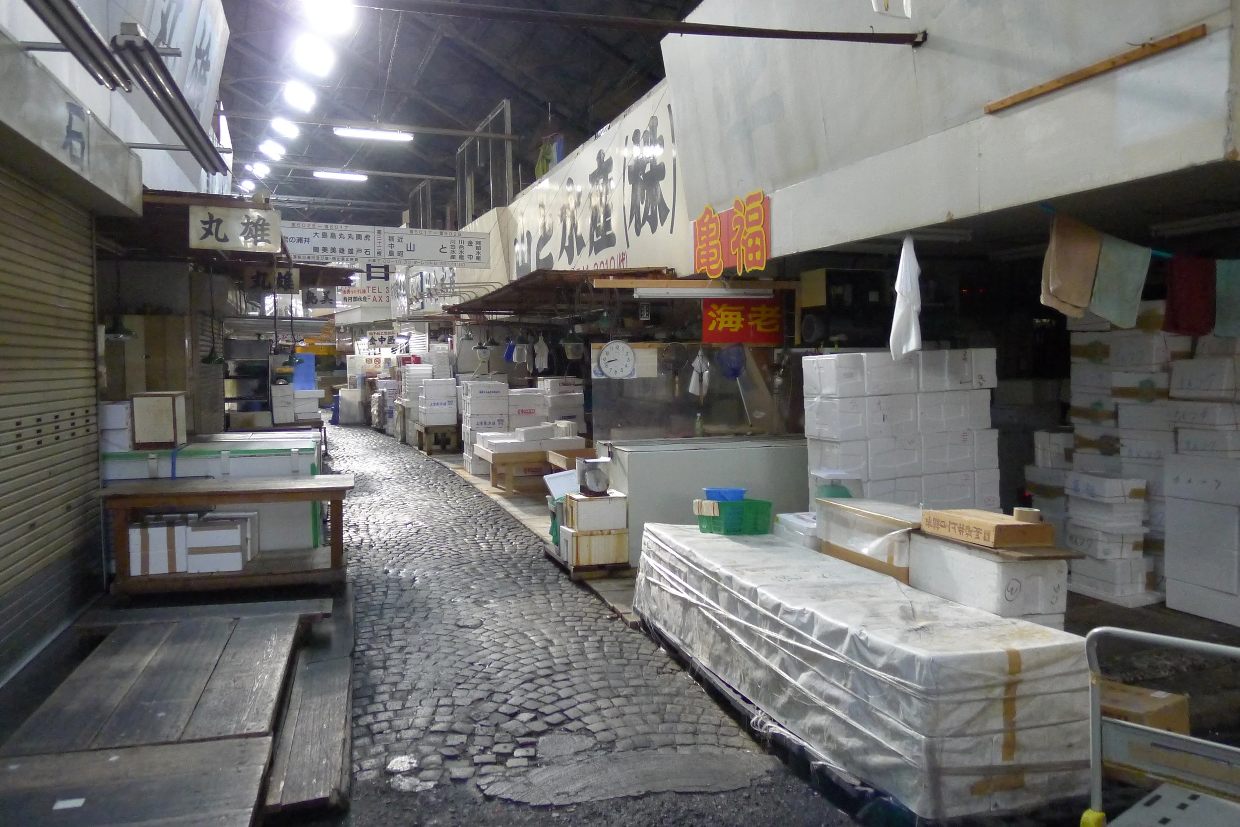 Tokyo Fish Market, early morning