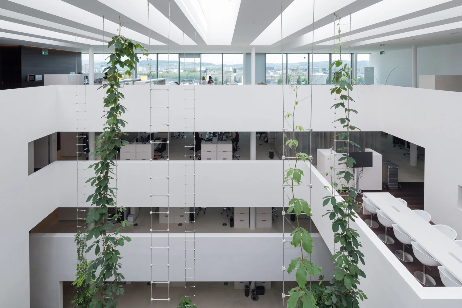 Novartis-RMA-4012_web.jpg