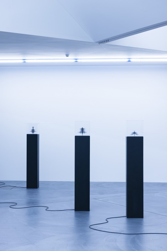 Von_Bartha_3510-533x800.jpeg