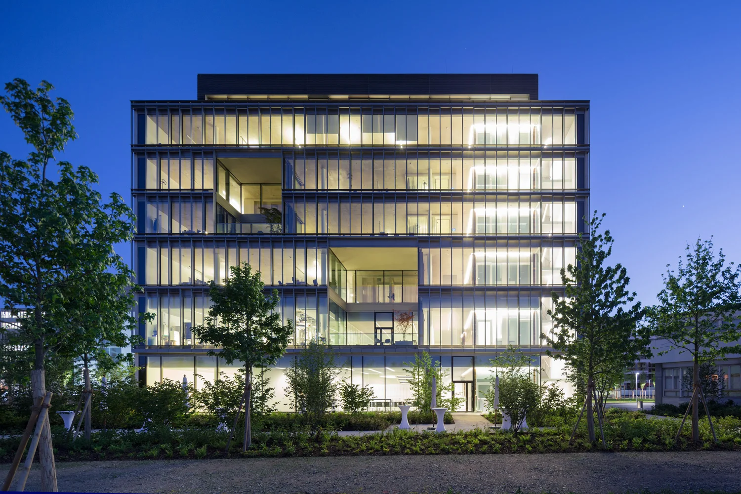 Novartis-RMA-6630_web.jpg