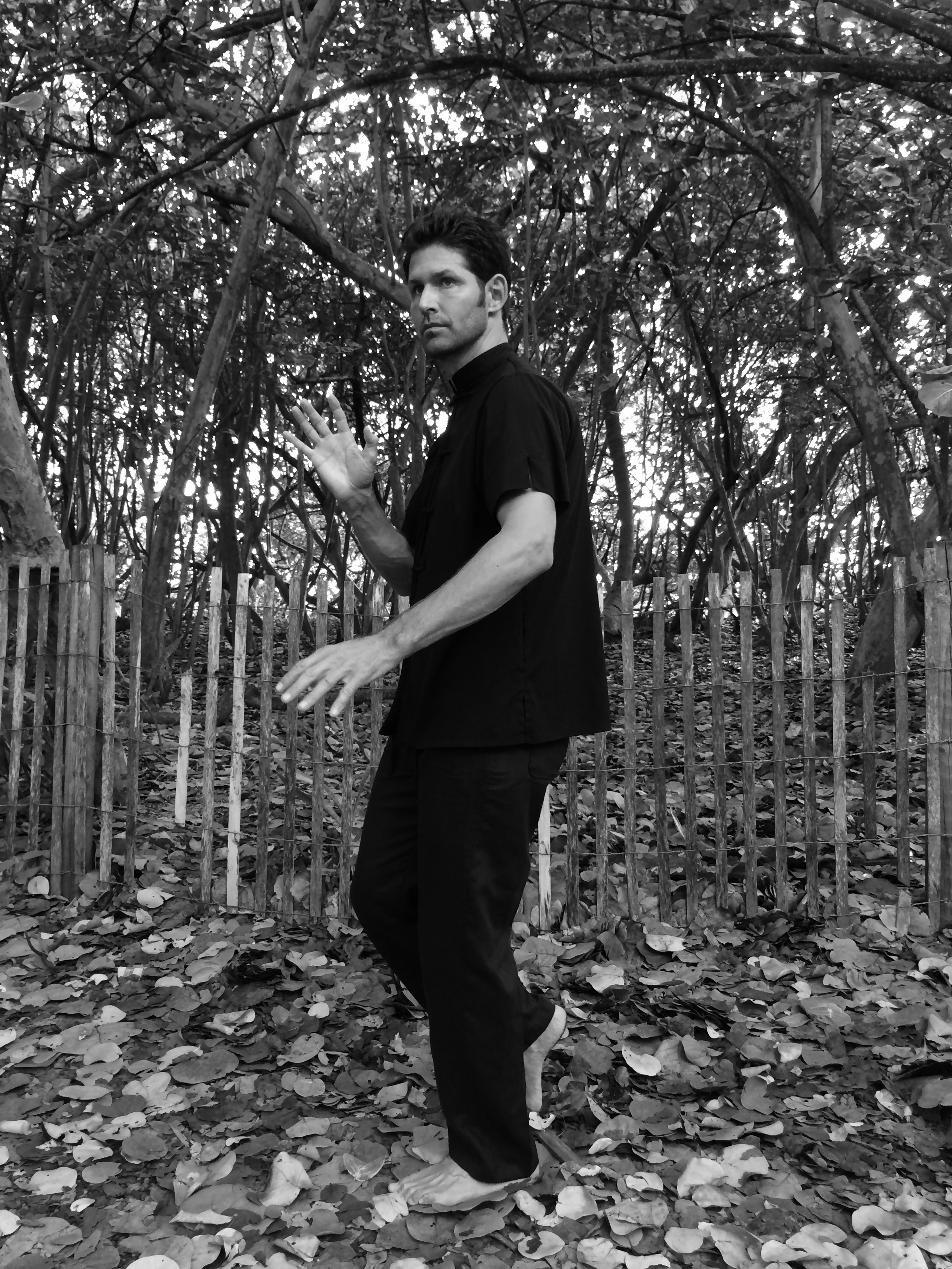Qigong 4.jpg
