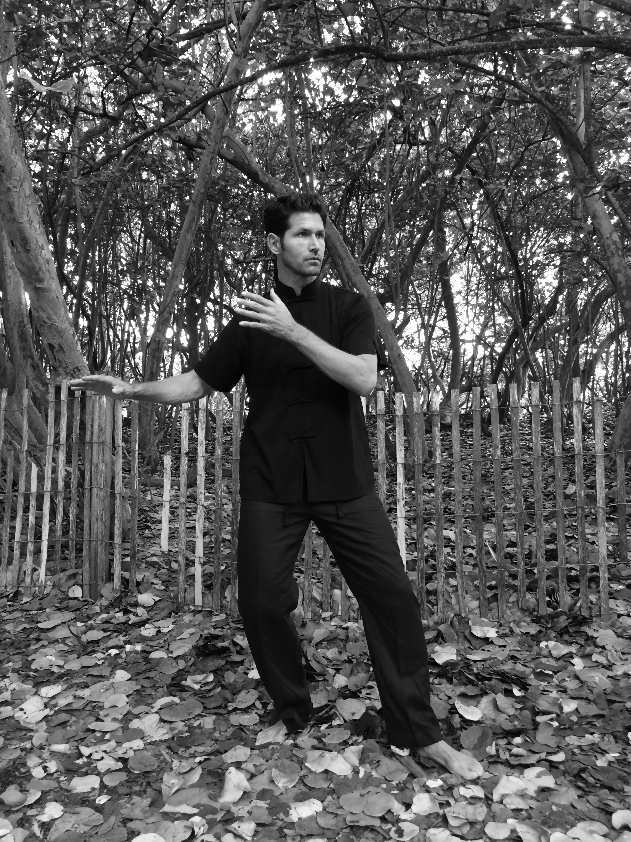Qigong 5.jpg