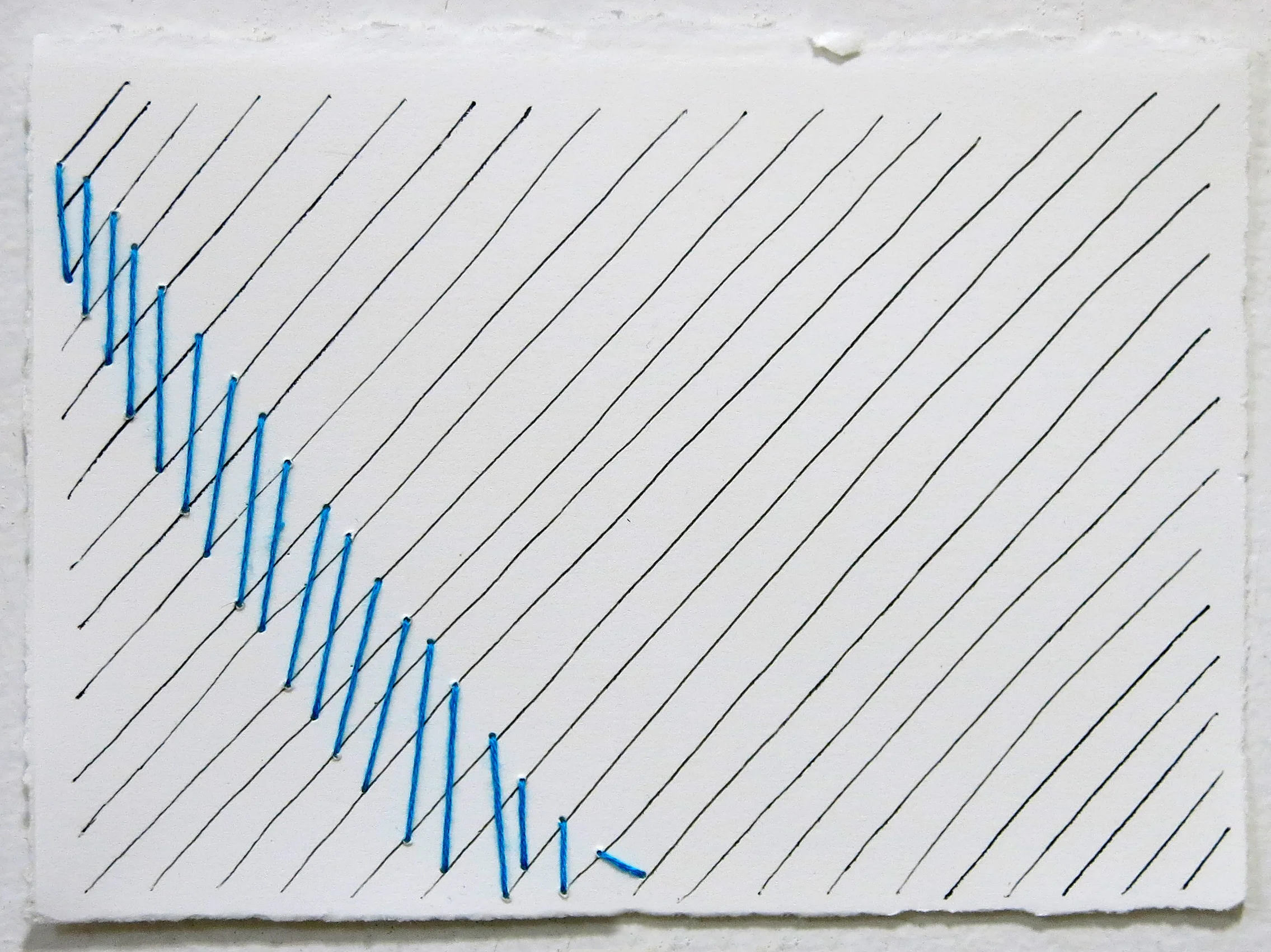 4.25x6in black & blue.jpg