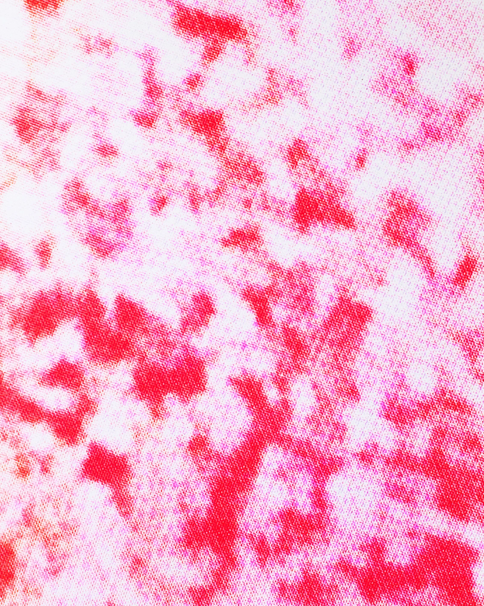 zoomed.jpg