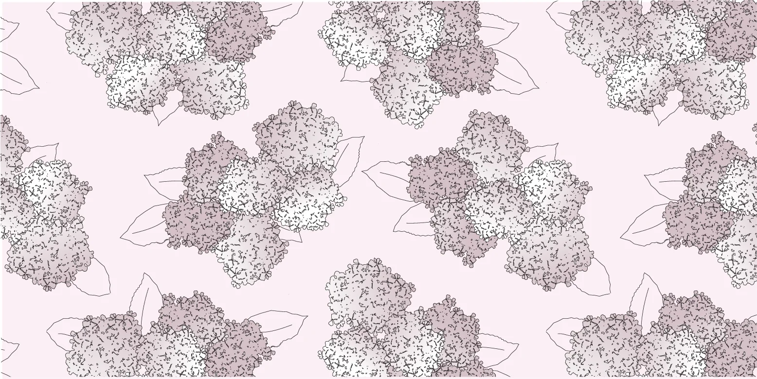 Hydrangea-01.jpg