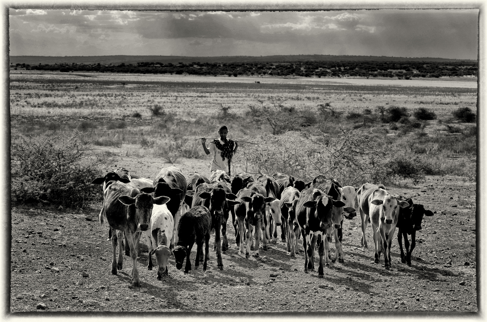  Datoga herder, Muldabai. 