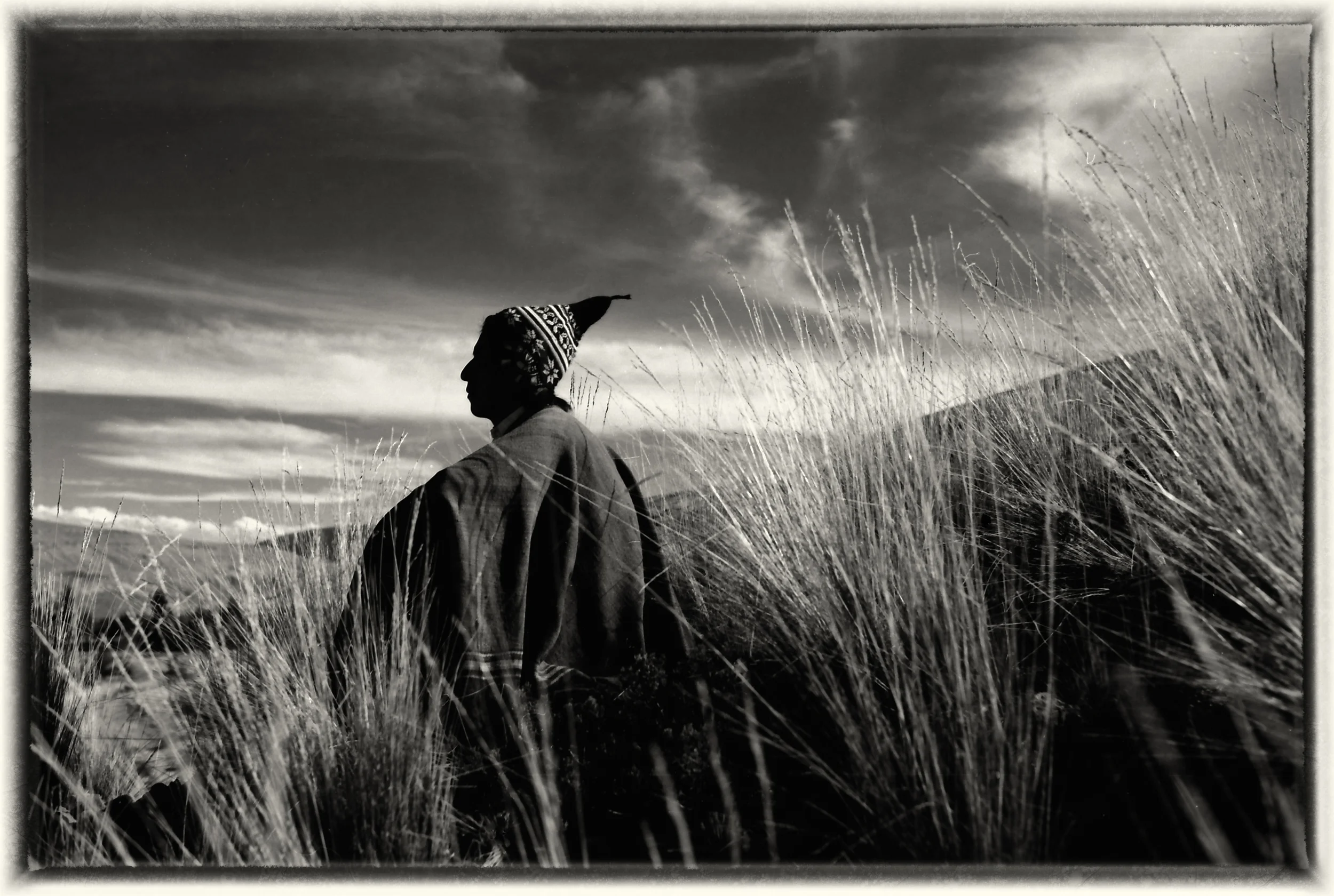 Vinden blåser dit den vil.jpg