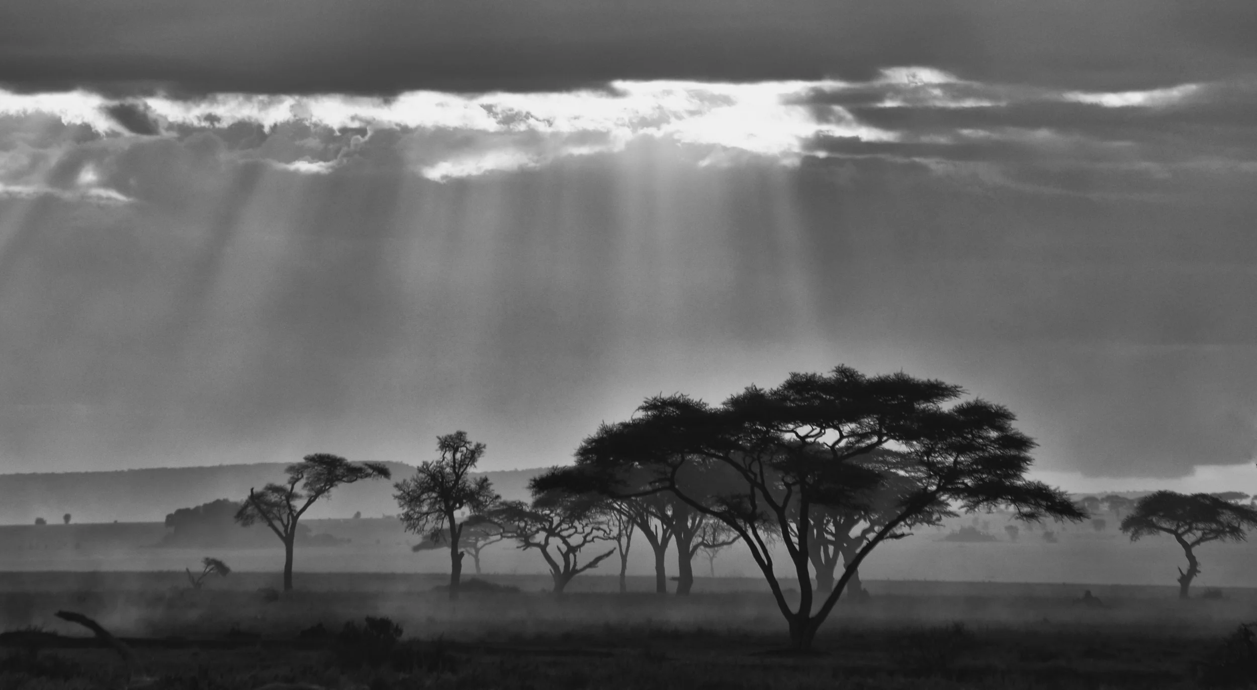  Serengeti sunset 