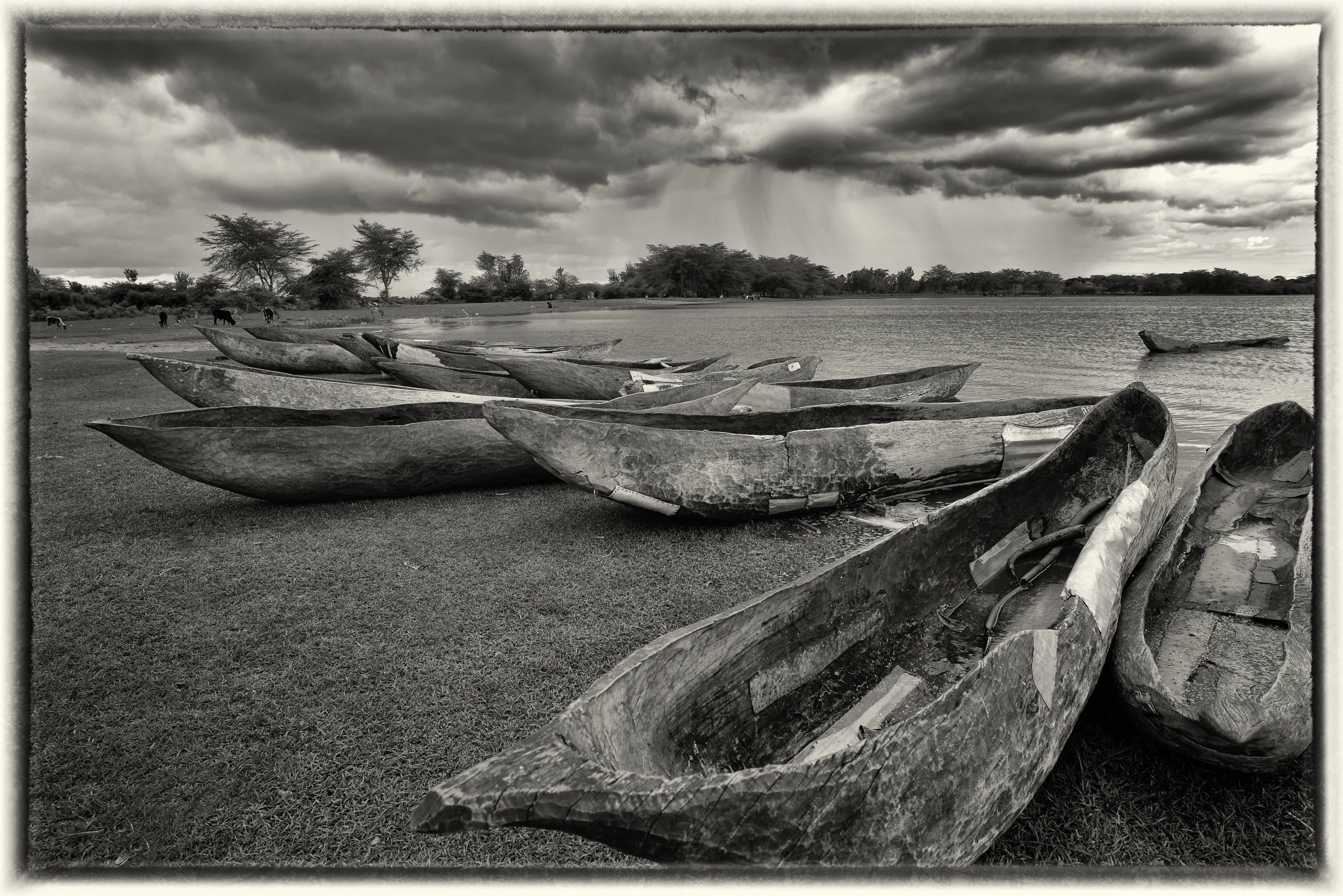  Lake Basuto, Tanzania. 