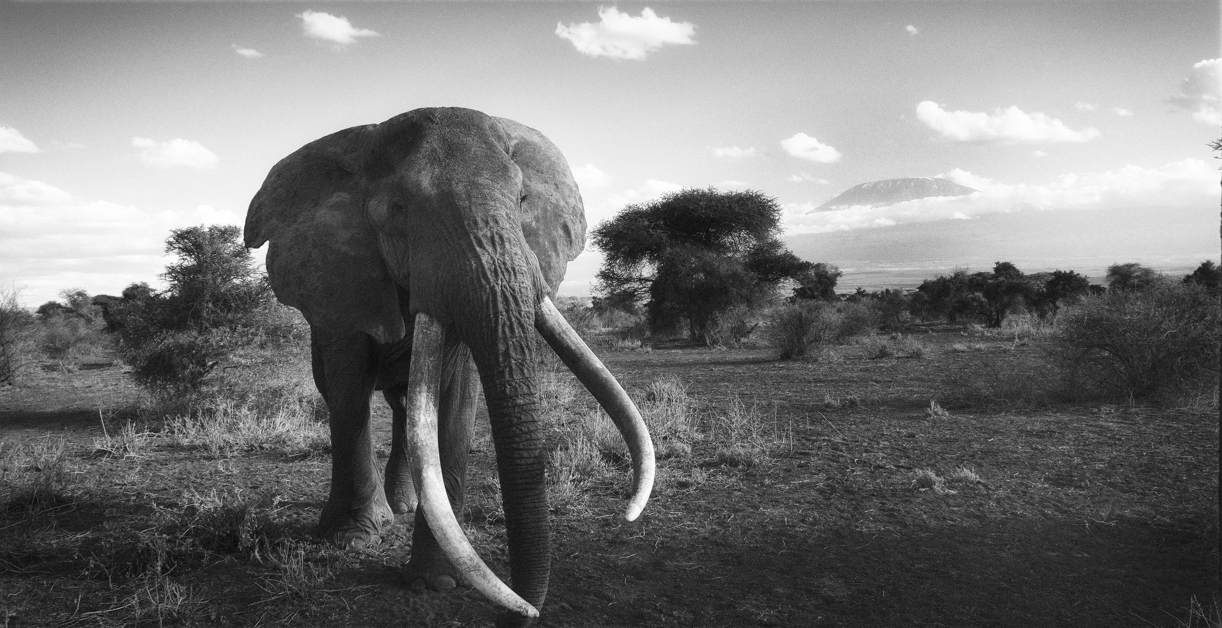 Craig, Amboseli, Kenya