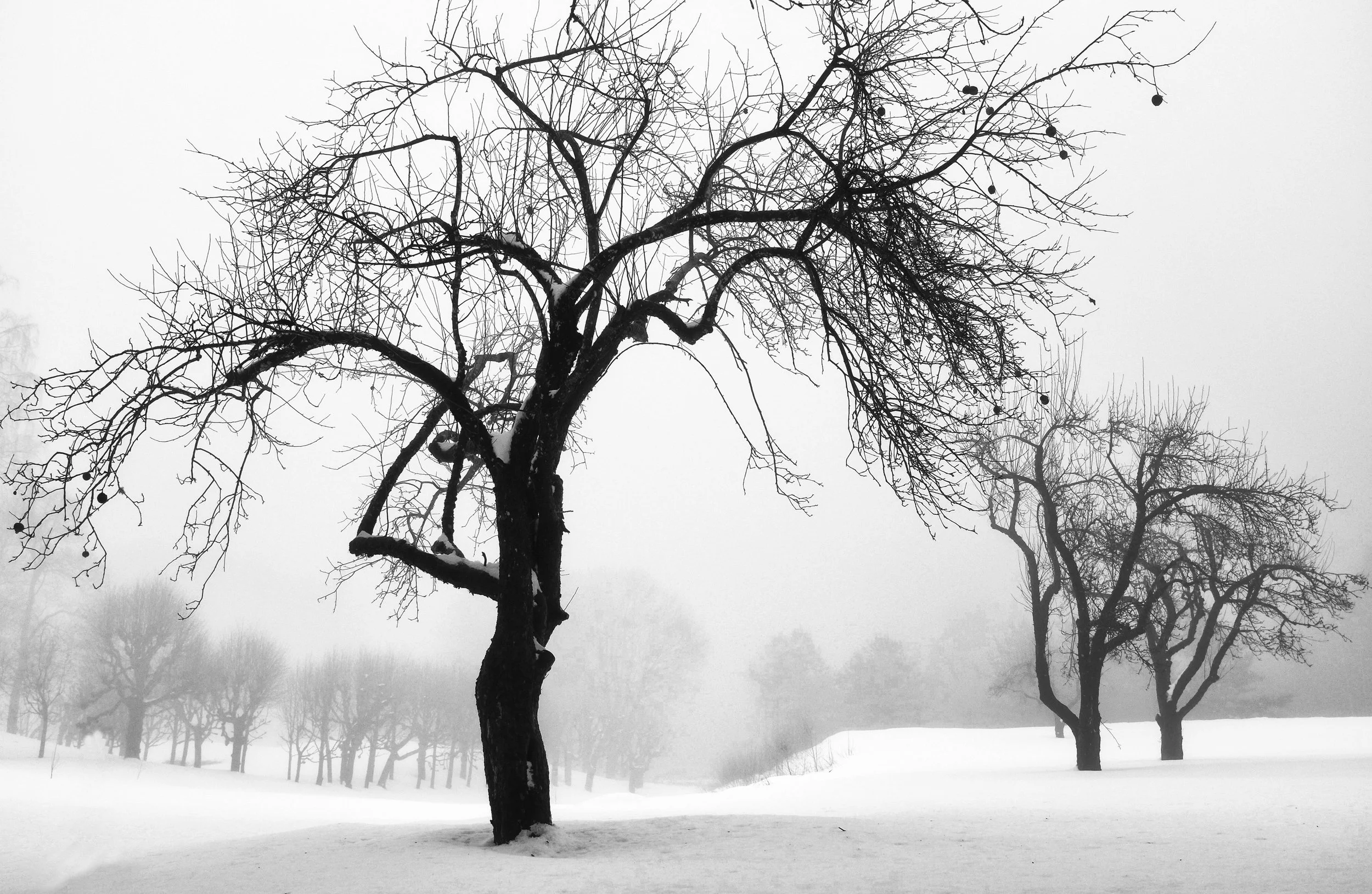 Winter scene, Boen gård, Norway