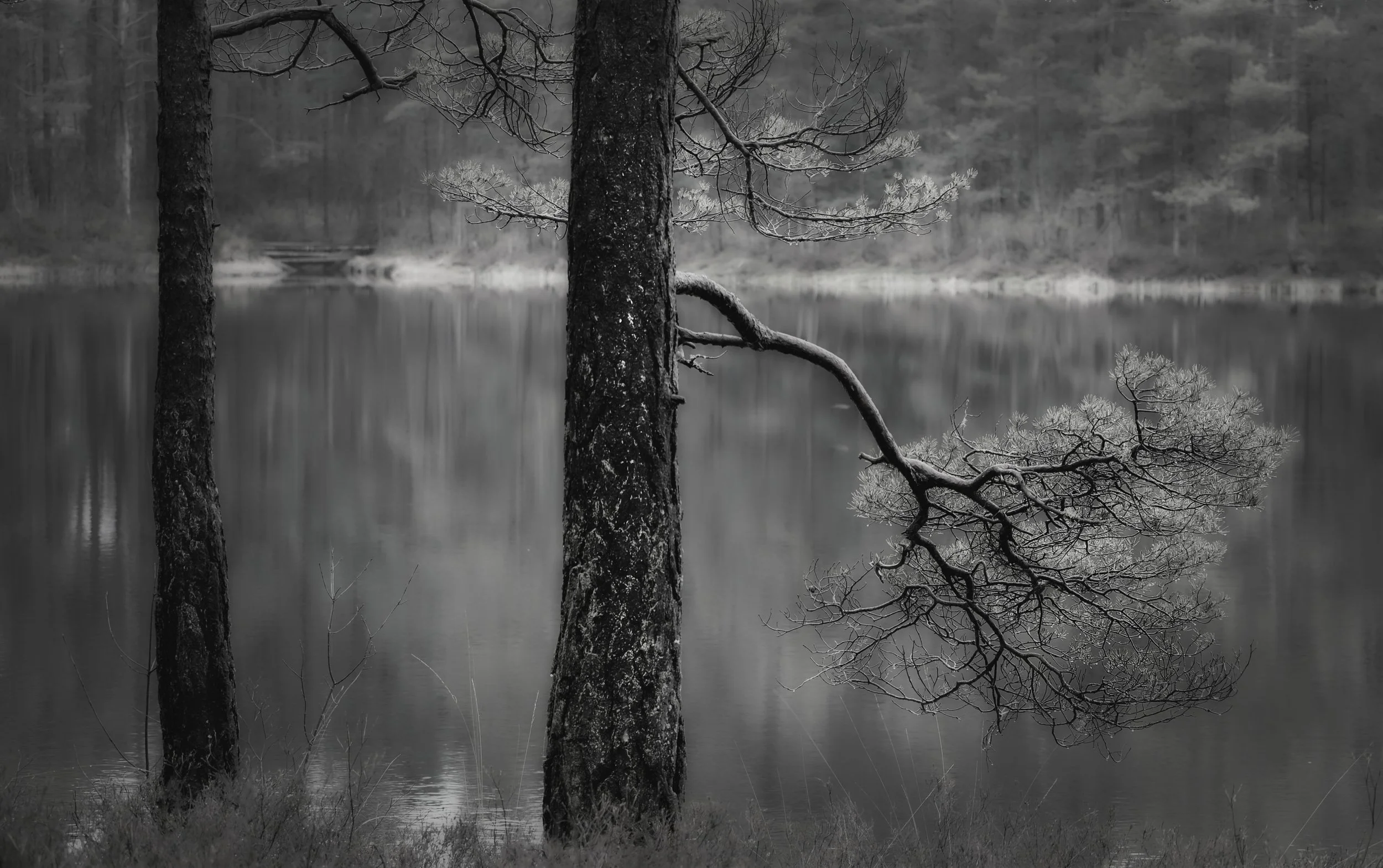 Girsdalstjønnert, Tveit, Norway