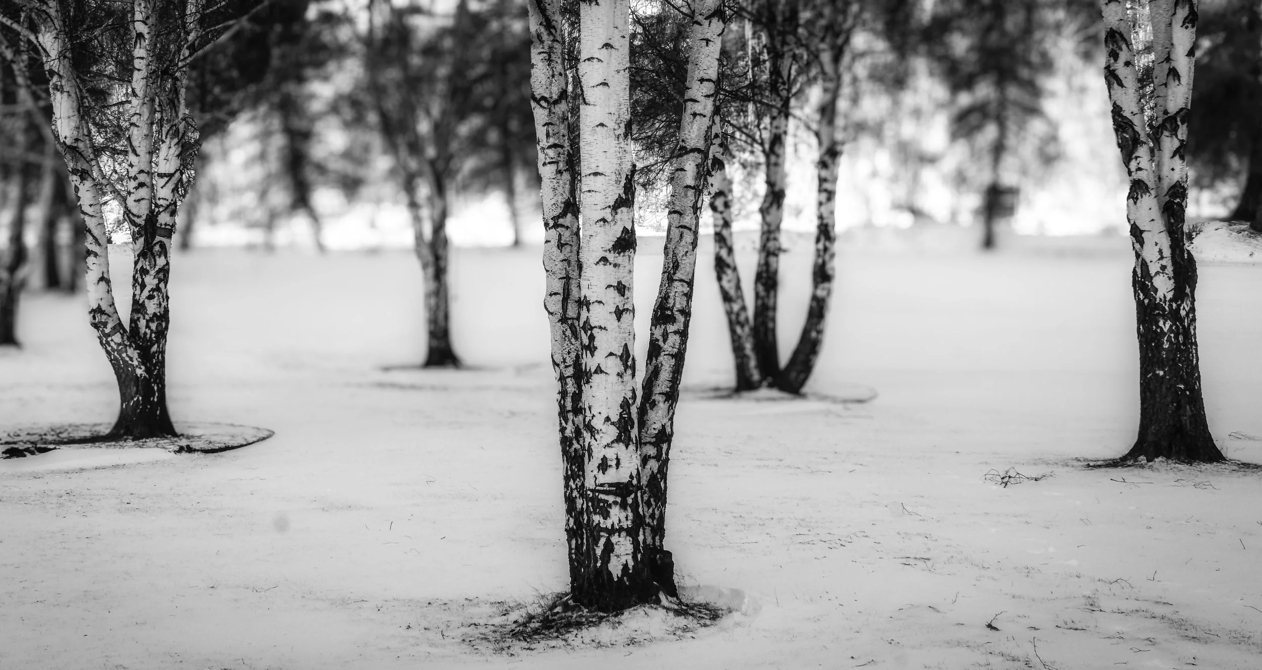 Winter scene, Vennesla, Norway