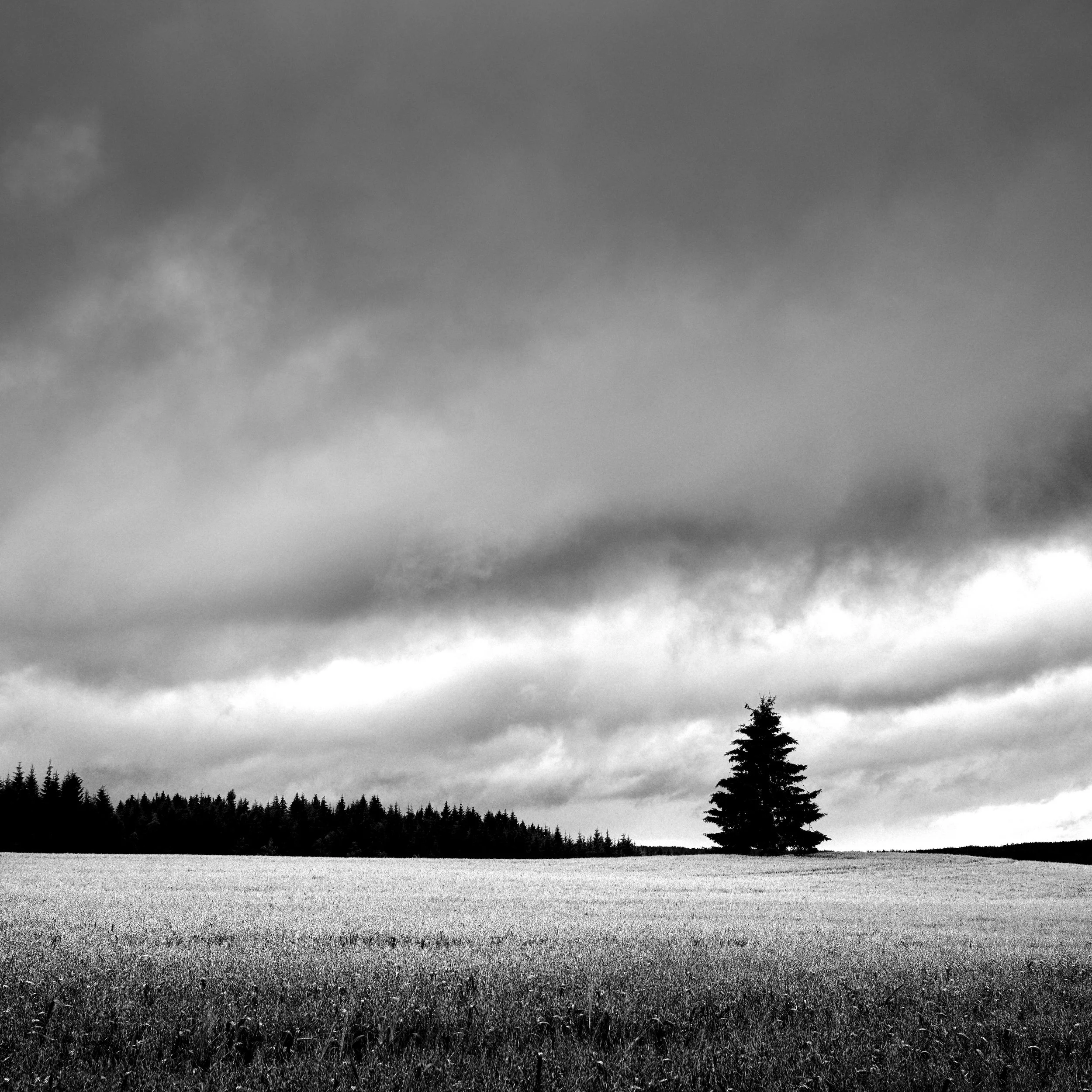 Stormy day, Spydeberg, Norway