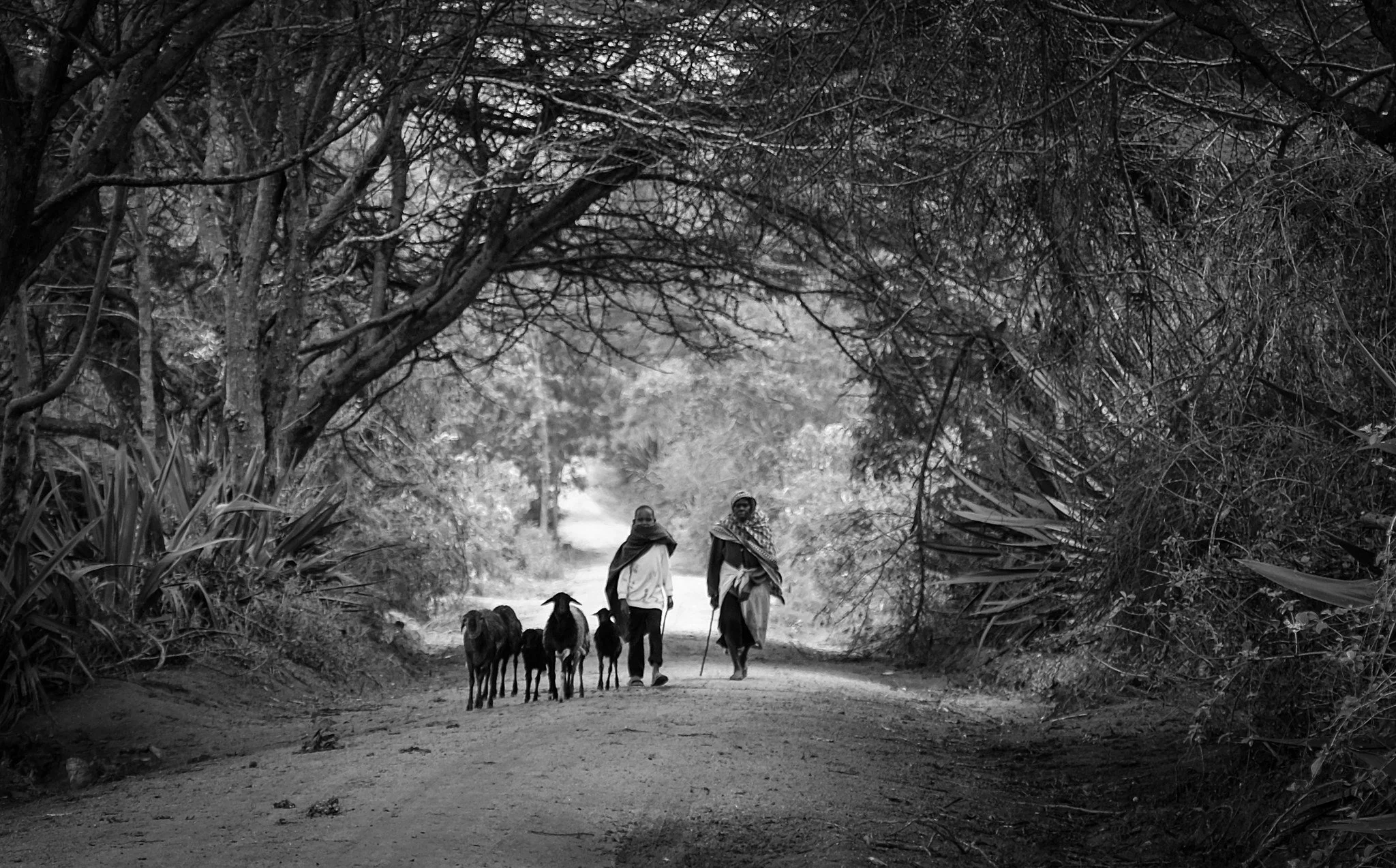 Heading home, Wa'ama, Tanzania