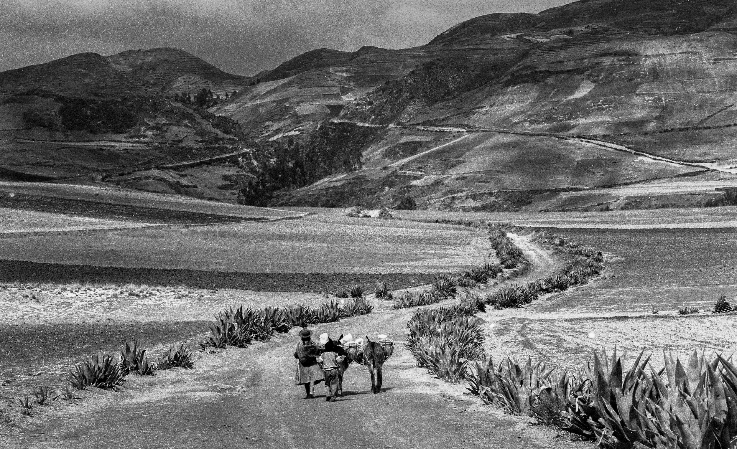 Heading home, Cuzco, Peru