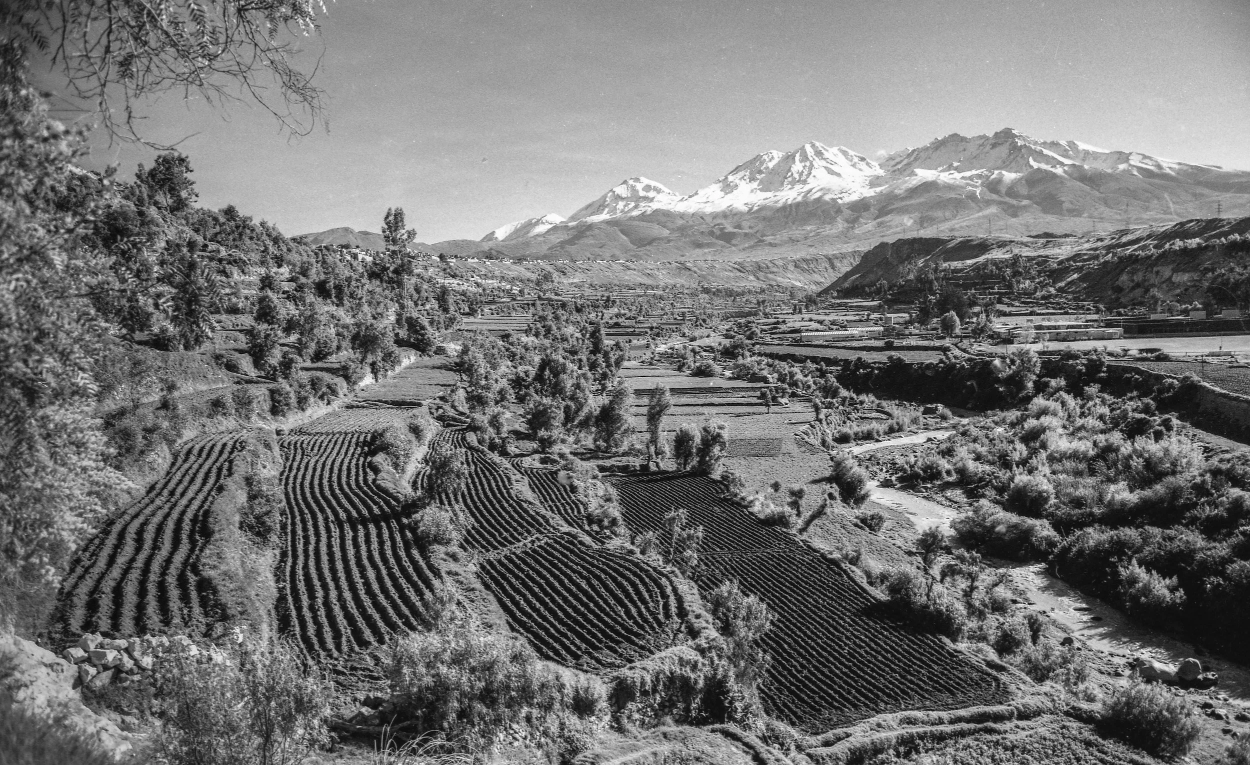 Campiña arequipeña, Yura, Peru