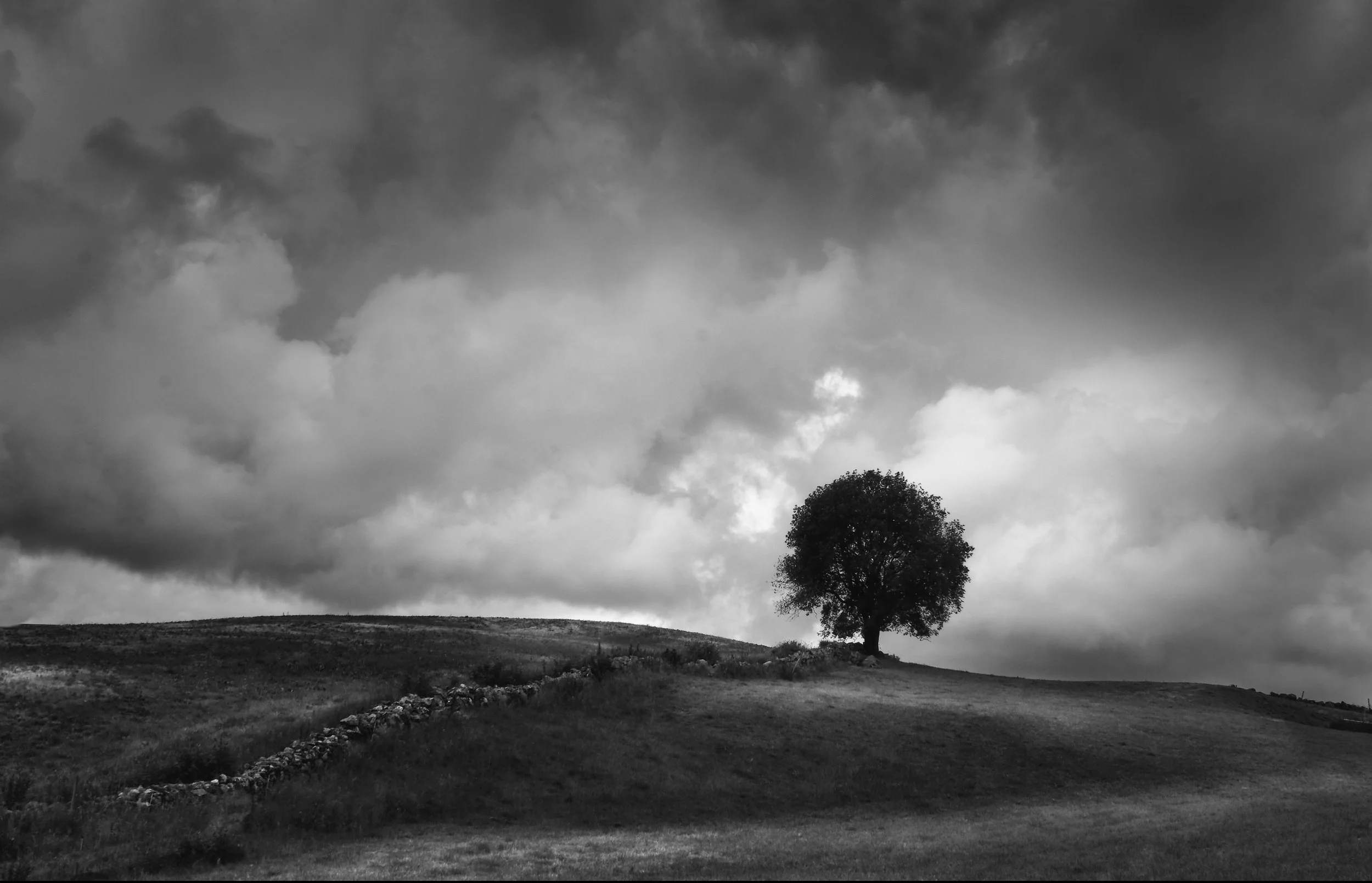 Øysteintreet, Svaland, Norway