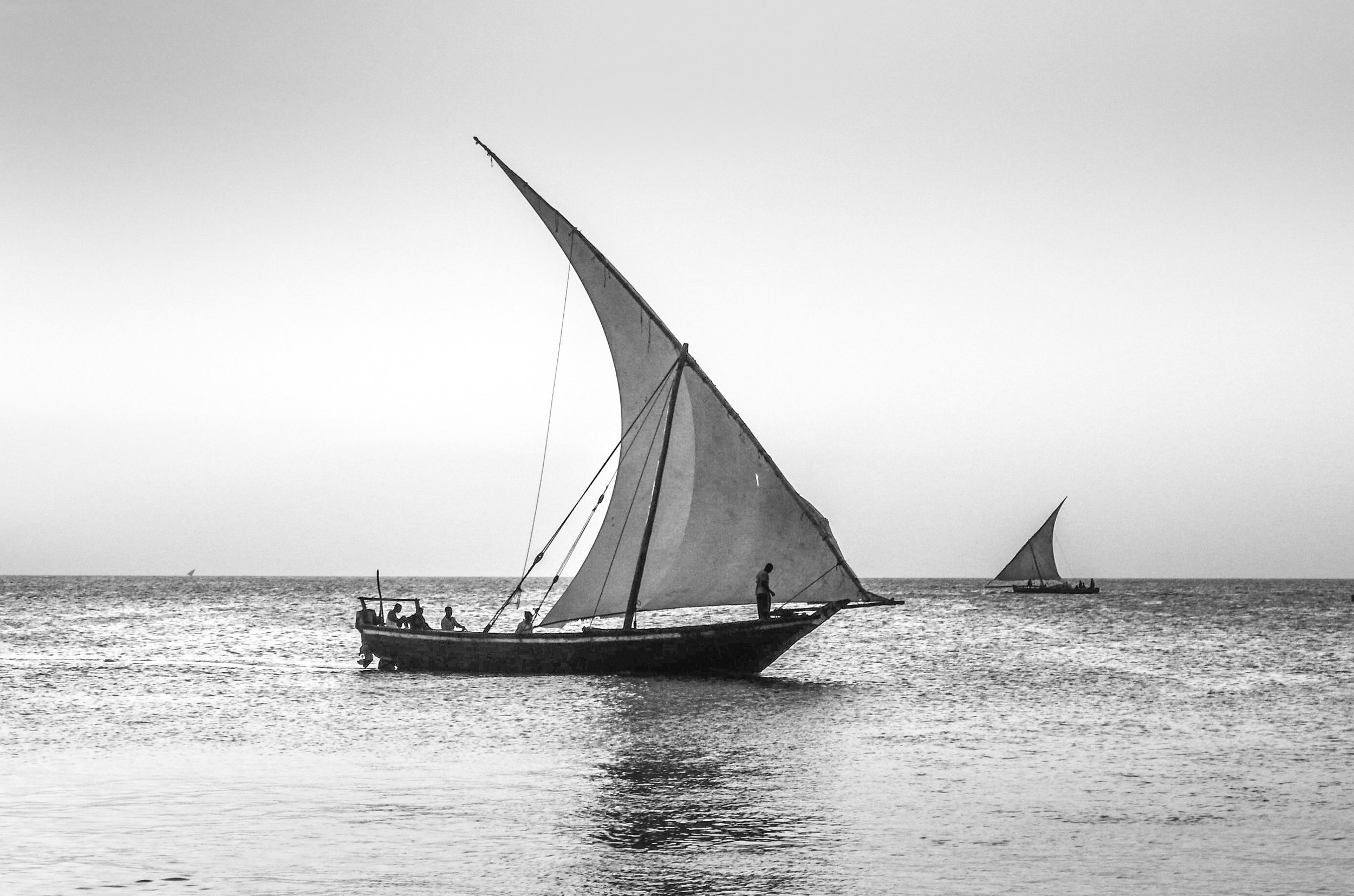 Zanzibari sails