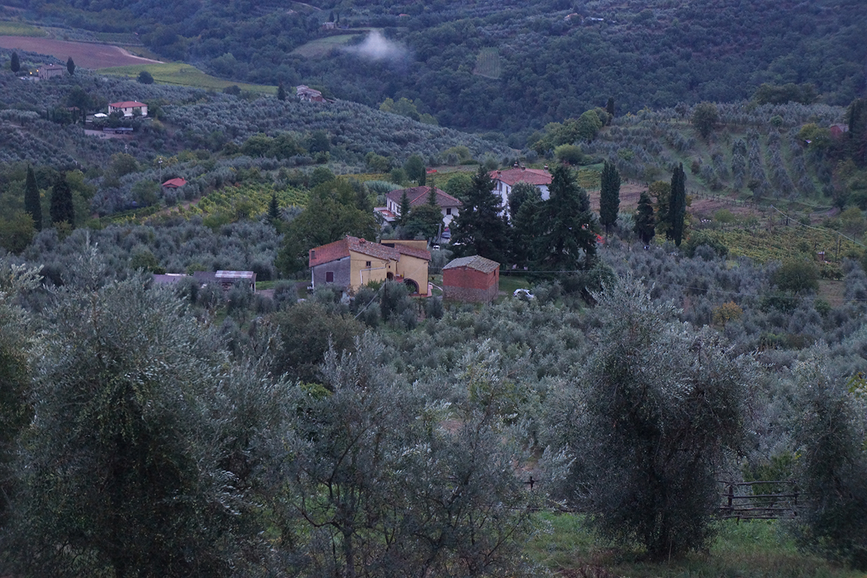 DSC04366_web.jpg