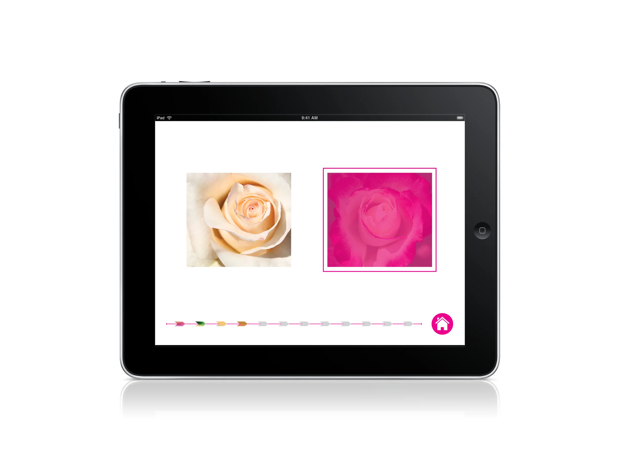 PINROSE SCENT FINDER APP_Ipad10.jpg