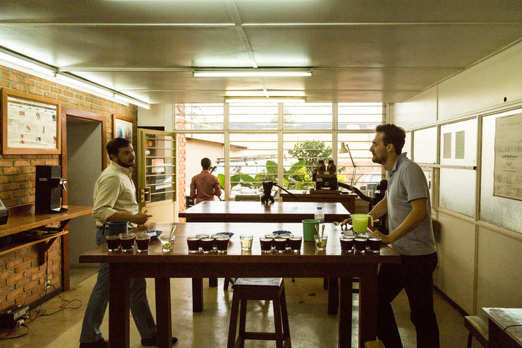 The blind cupping in 2013 that started it all. Iwacu was the third from the left and by far our favourite!