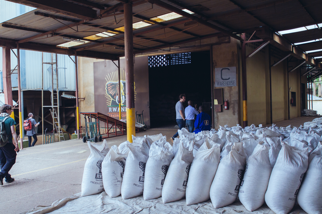  Iwacu and other parchment coffee arriving at RTC in Kigali 