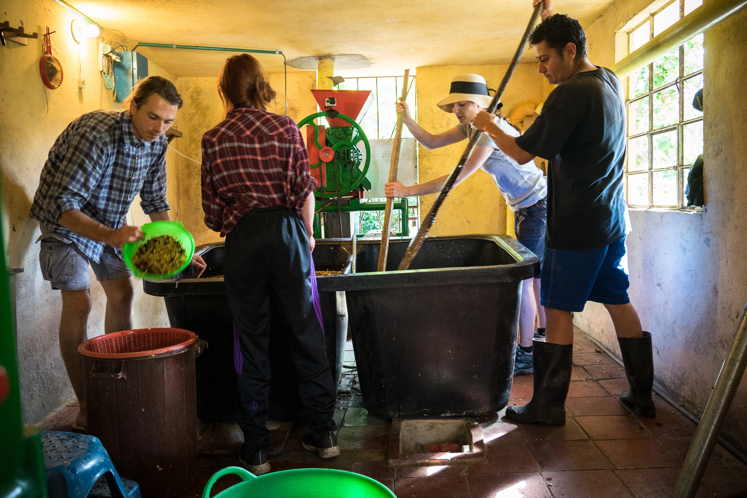 The 2016 field baristas fermenting coffee together with Juan Pablo.