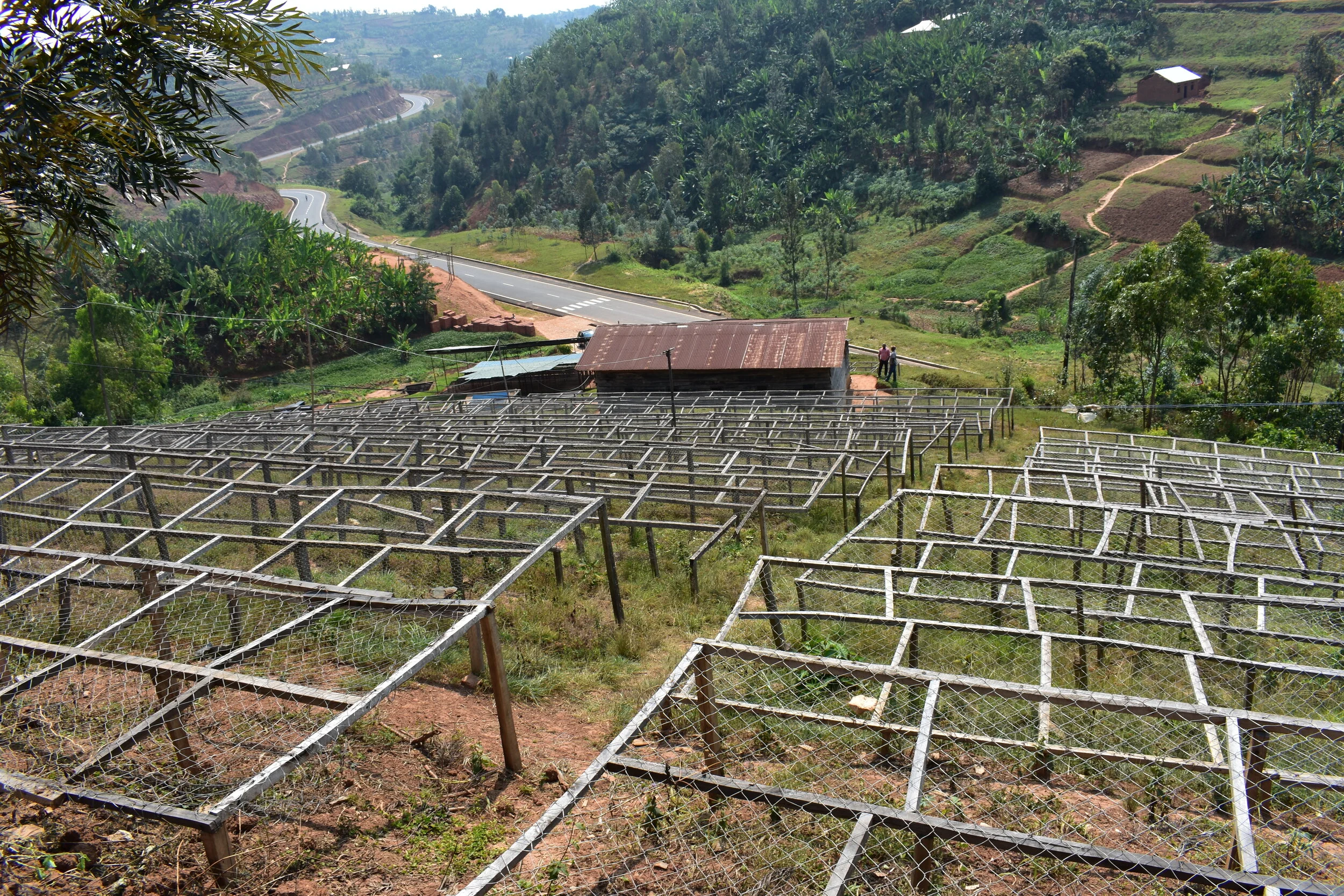 Intango Intango, Rwanda — This Side Up