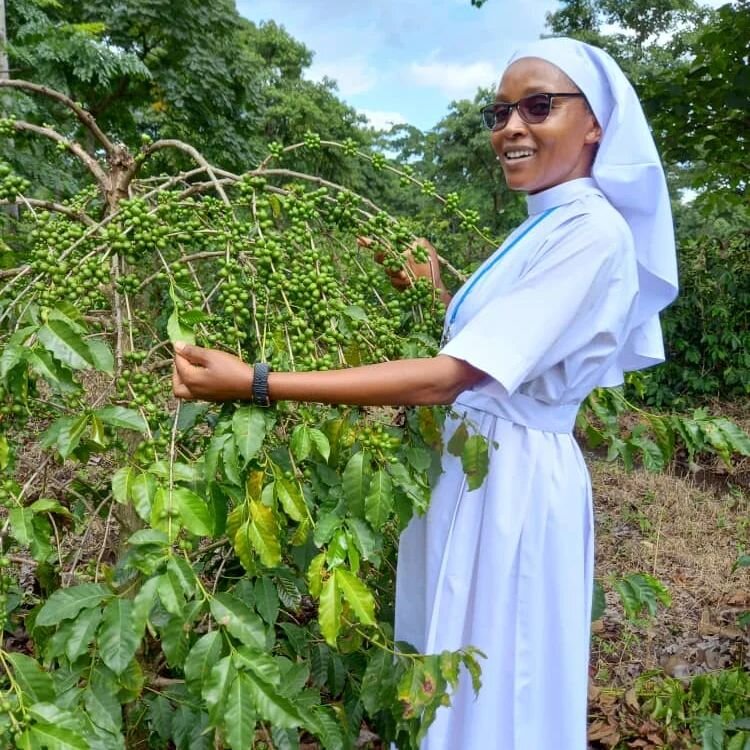 What a picture... One of the consequences of Rebecca setting up Wanza is that we'll have access to more amazing coffee groups like &quot;Masista&quot;. 

Wanza met the &quot;Sisters of Our Lady of Kilimanjaro&quot; (The Sisters or Masista in Swahili)