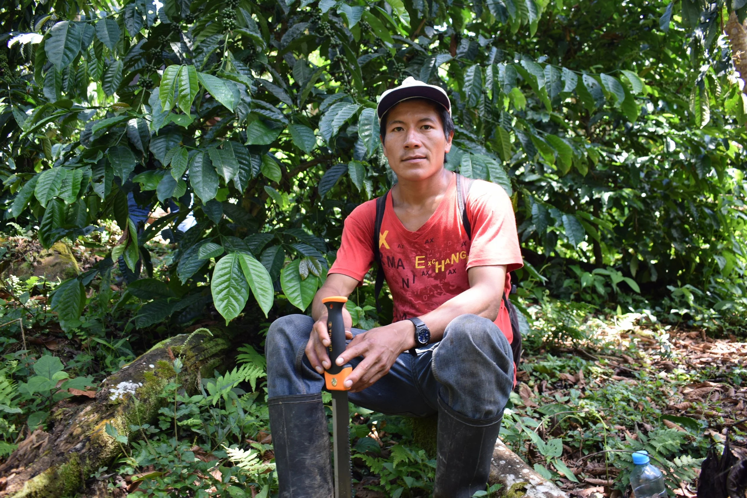 Herminio CARPENA DOMINGO.JPG