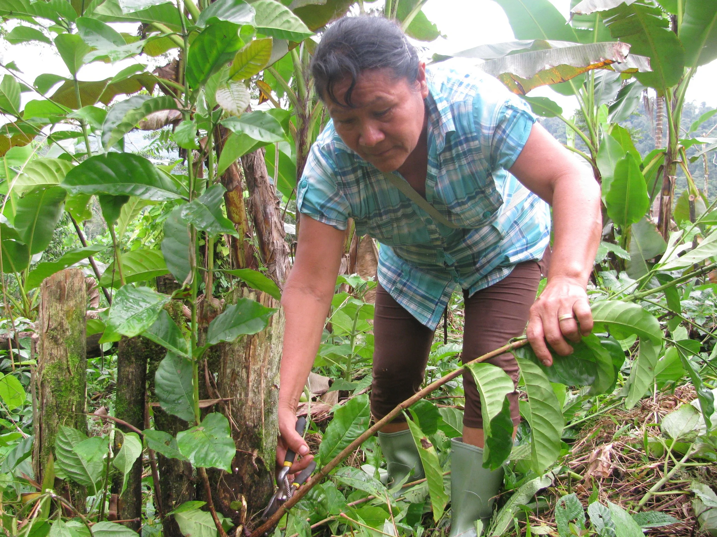 ROSALINDA MACHARI CRUZ.JPG