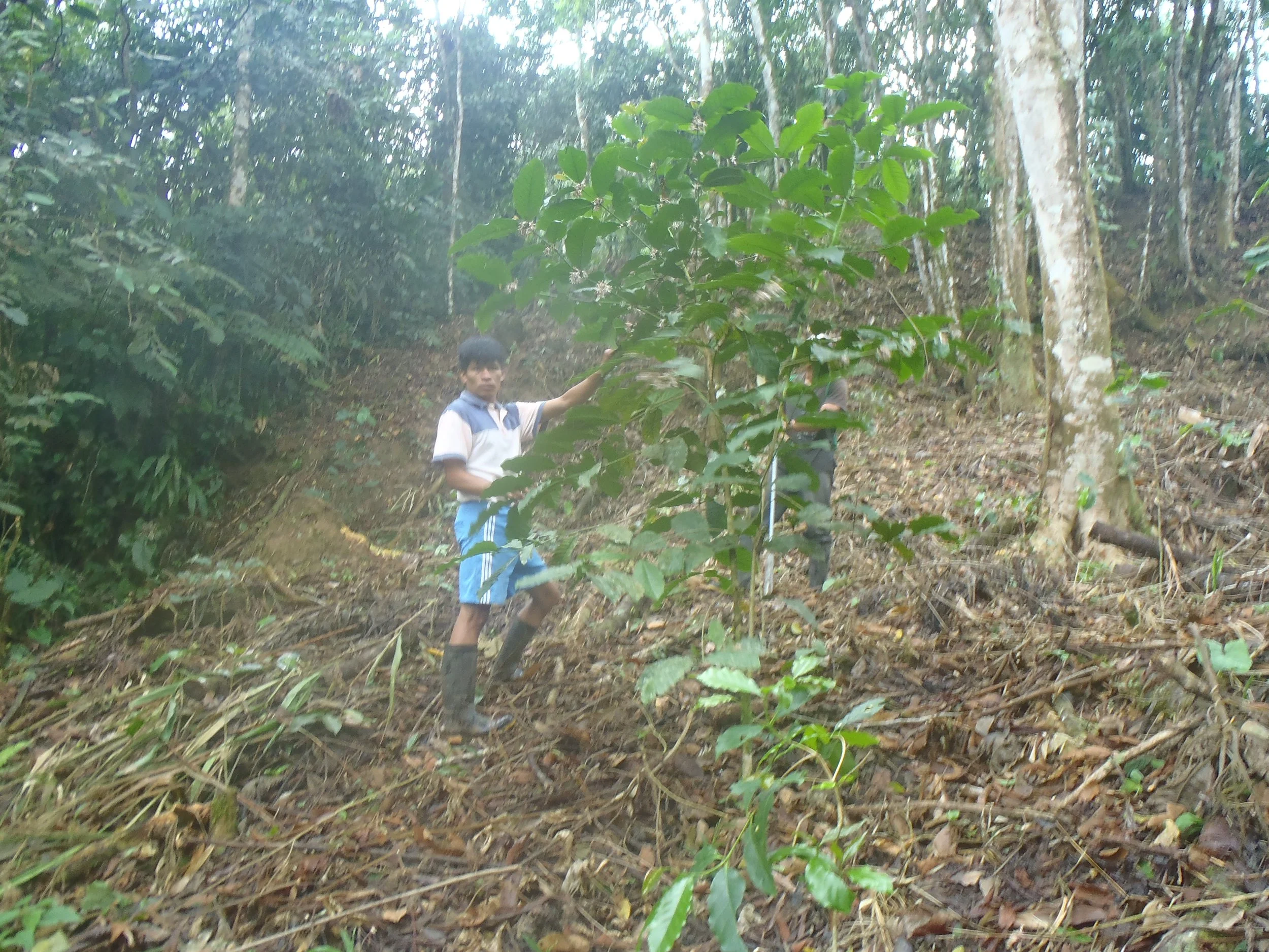 RONALD   VICENTE QUICHA.JPG