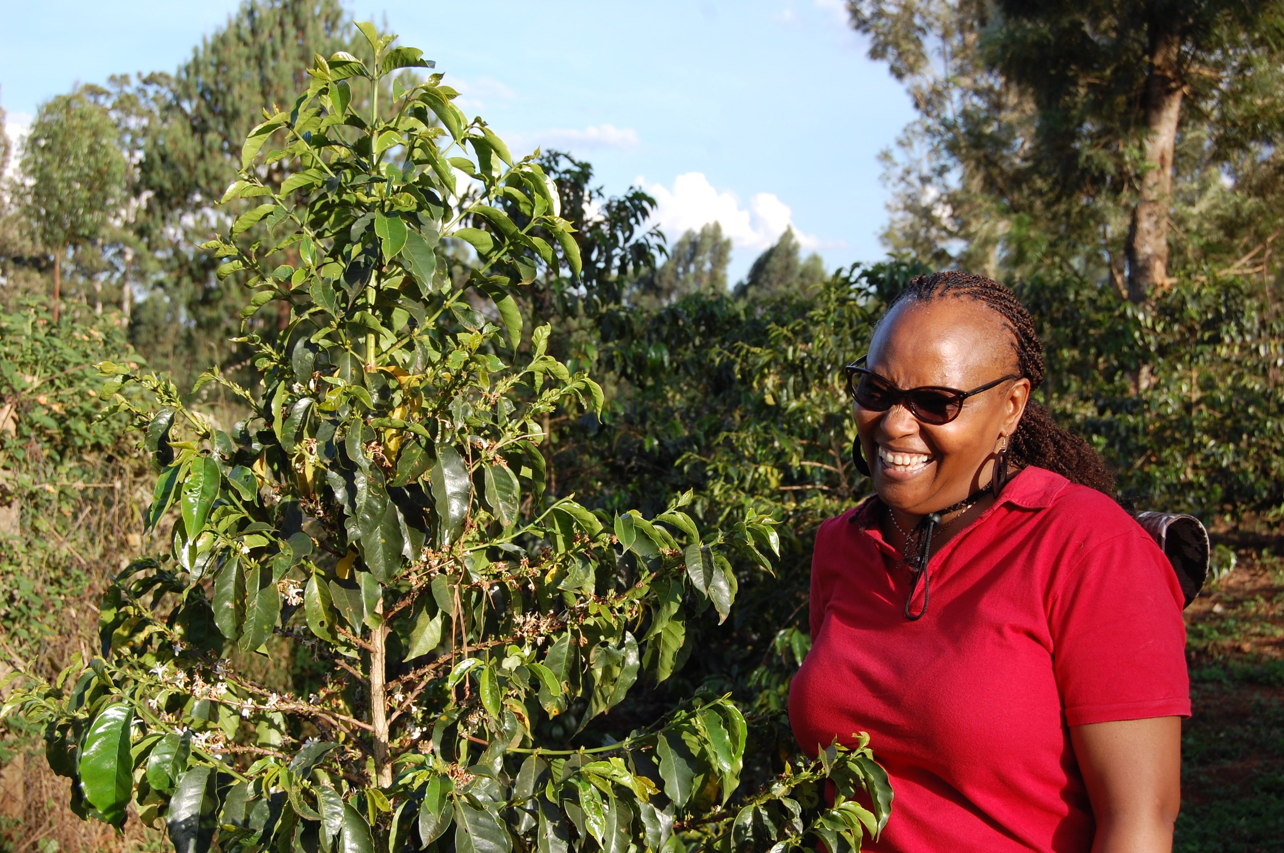 Jane Kamau — This Side Up