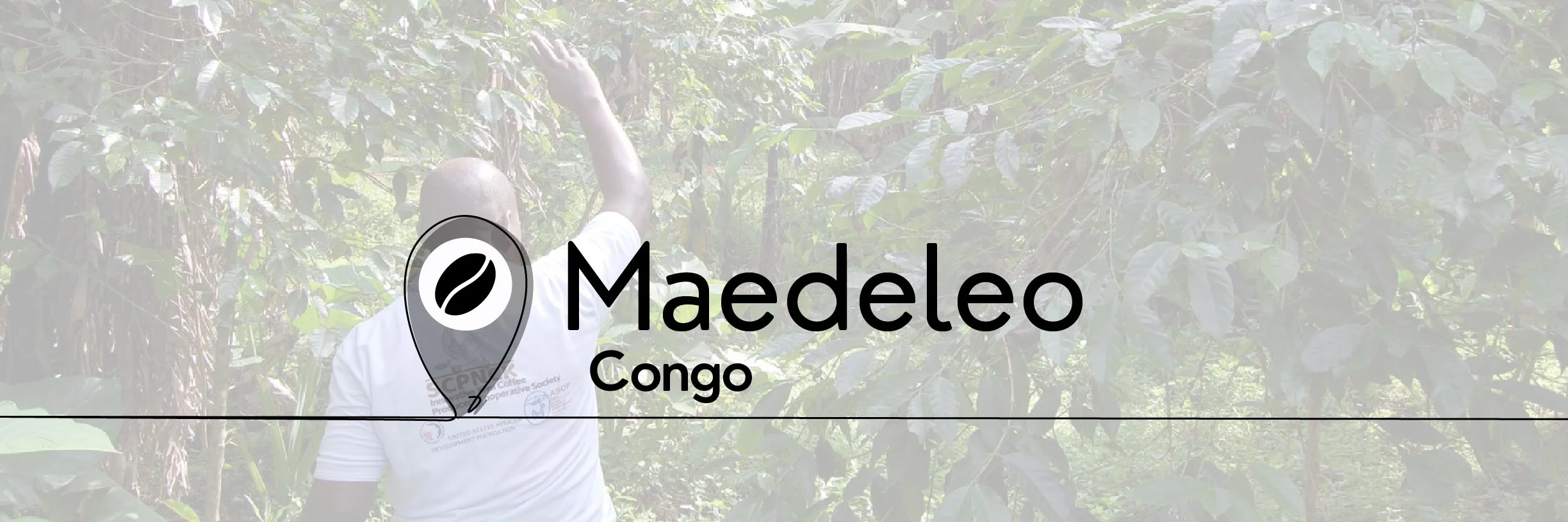 New Look .coffee 2_congo cpnck -maedeleo.jpg