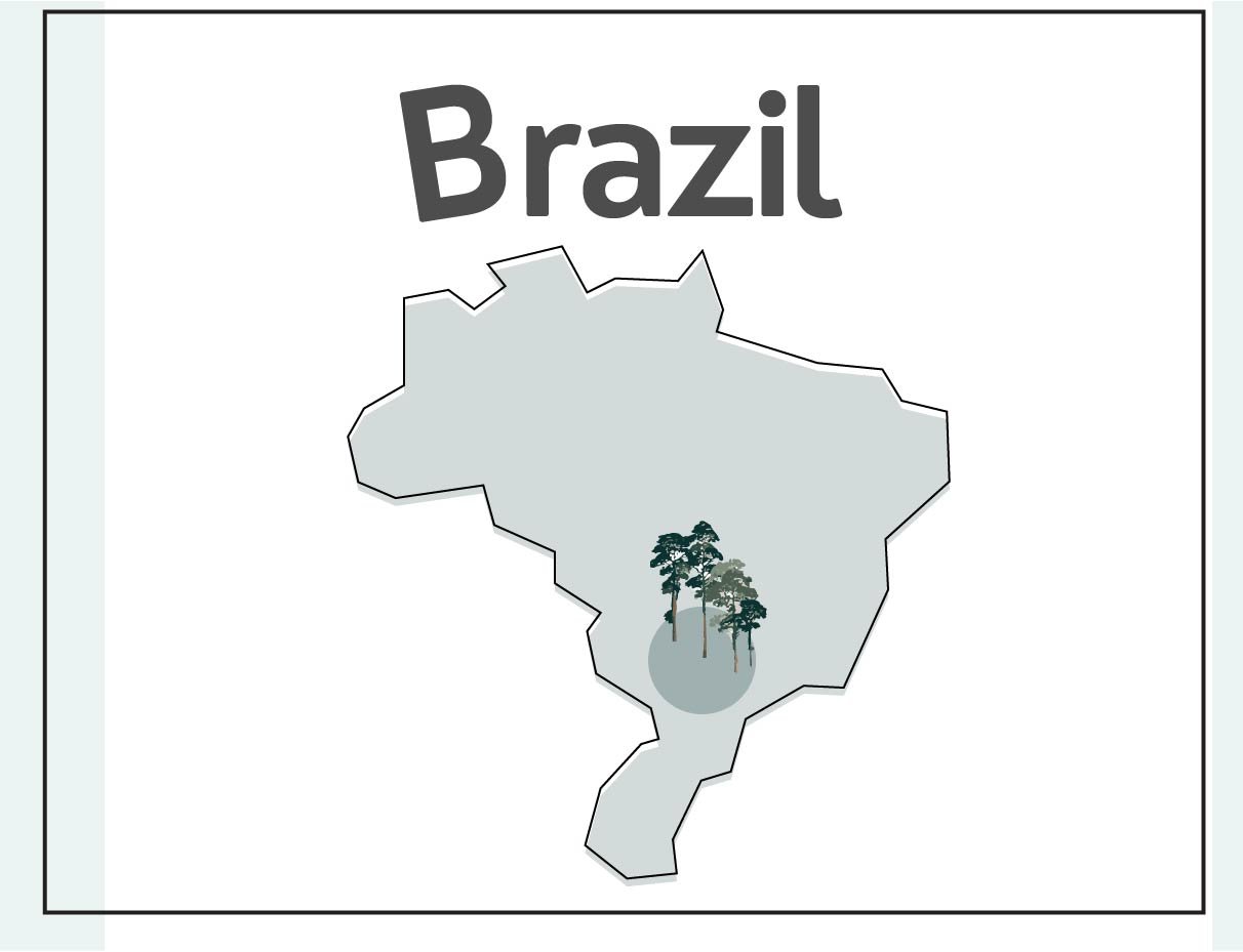 EUDR Reports page_Brazil intro preview.jpg