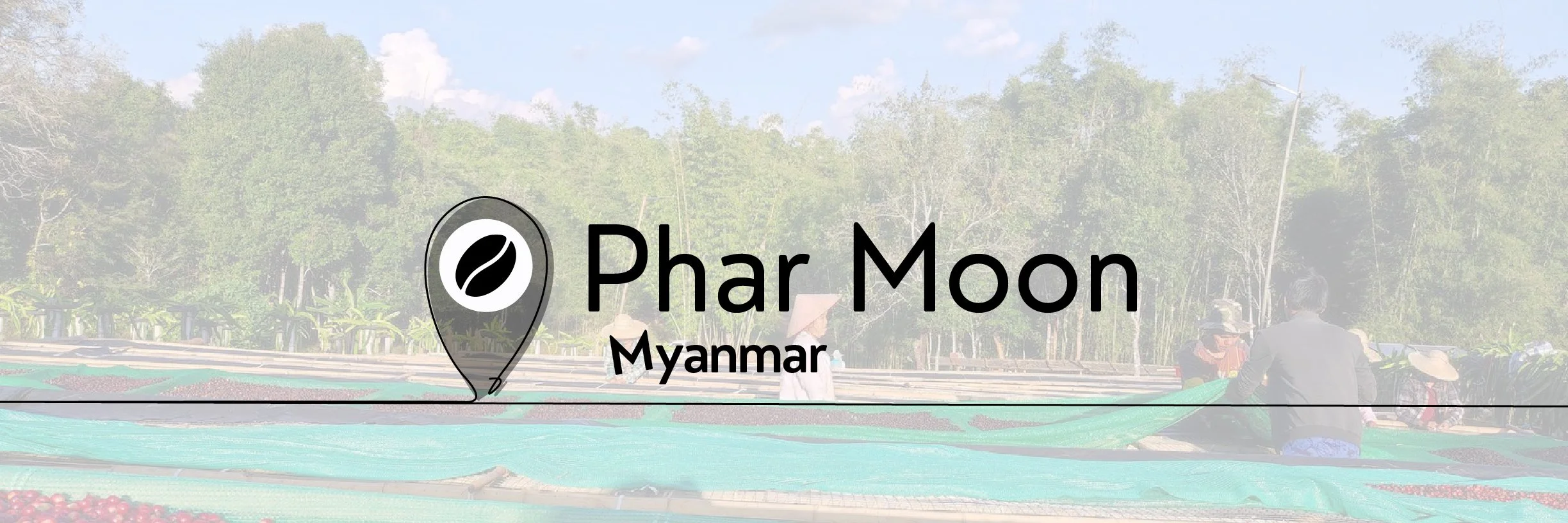 New Look .coffee 2_myanmar phar m.jpg