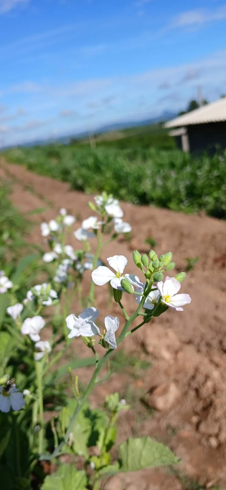 WhatsApp Image 2026-04-09 at 14.15.43 (1).jpeg