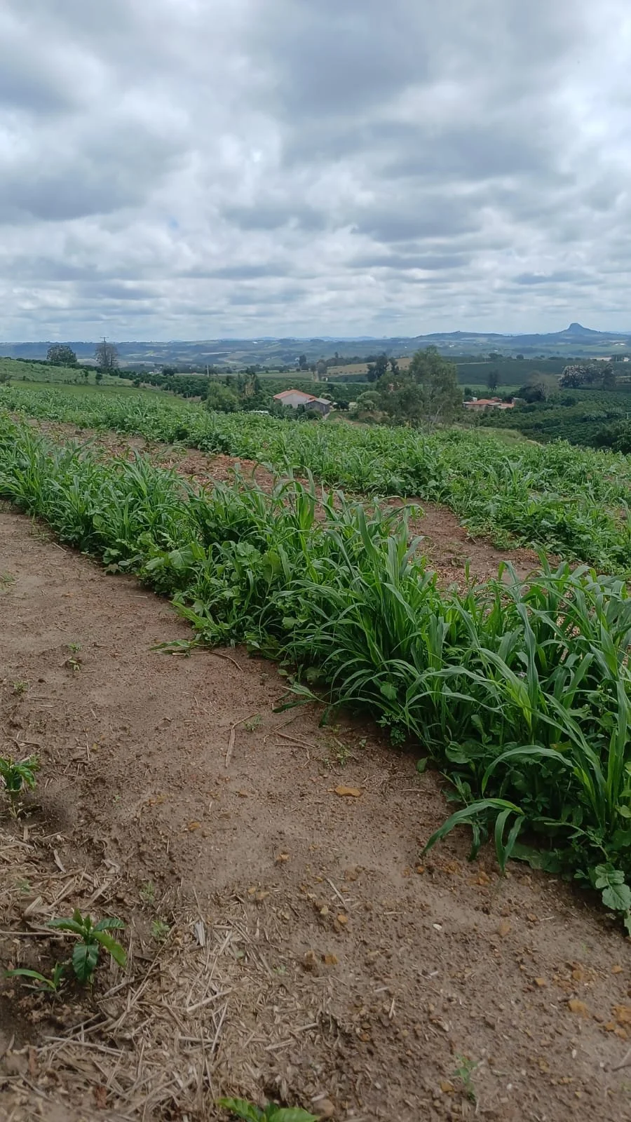 WhatsApp Image 2026-04-09 at 14.15.25 (1).jpeg