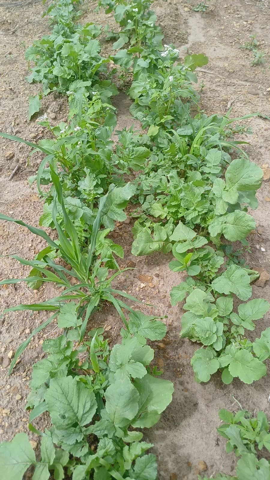 WhatsApp Image 2026-04-09 at 14.15.25.jpeg