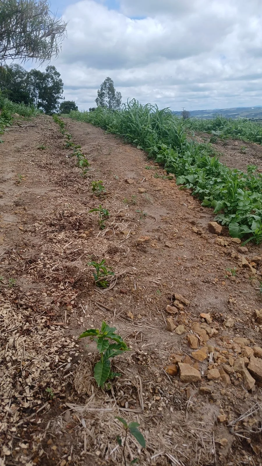 WhatsApp Image 2026-04-09 at 14.15.26 (1).jpeg