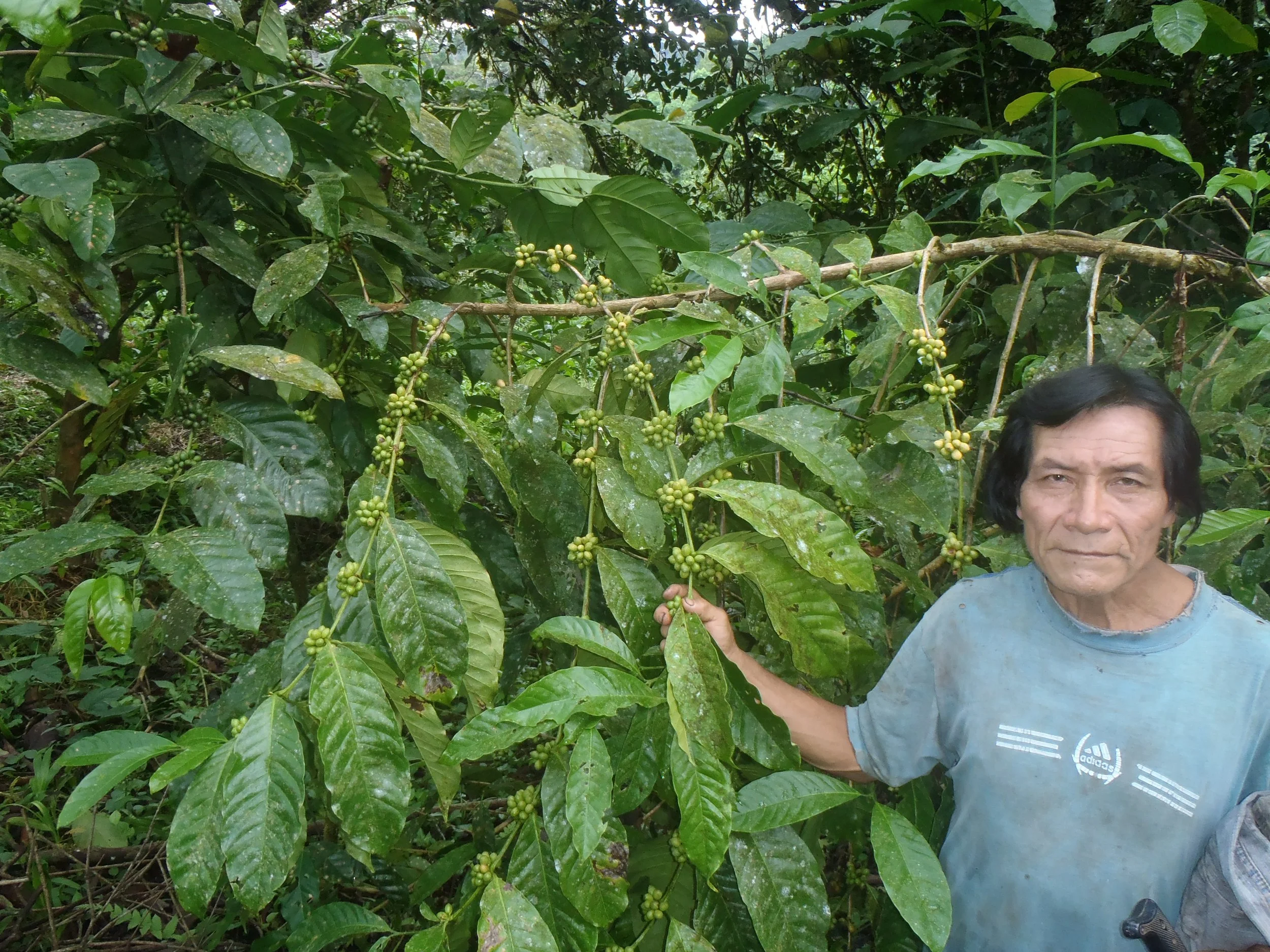 FRANCISCO LOPEZ QUINCHOYA.JPG