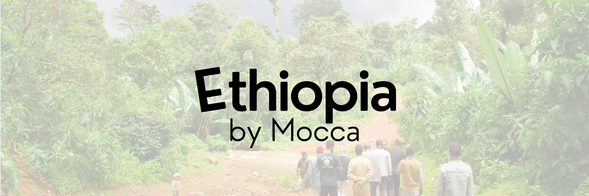 New Look .coffee 3_Ethiopia Mocca.jpg