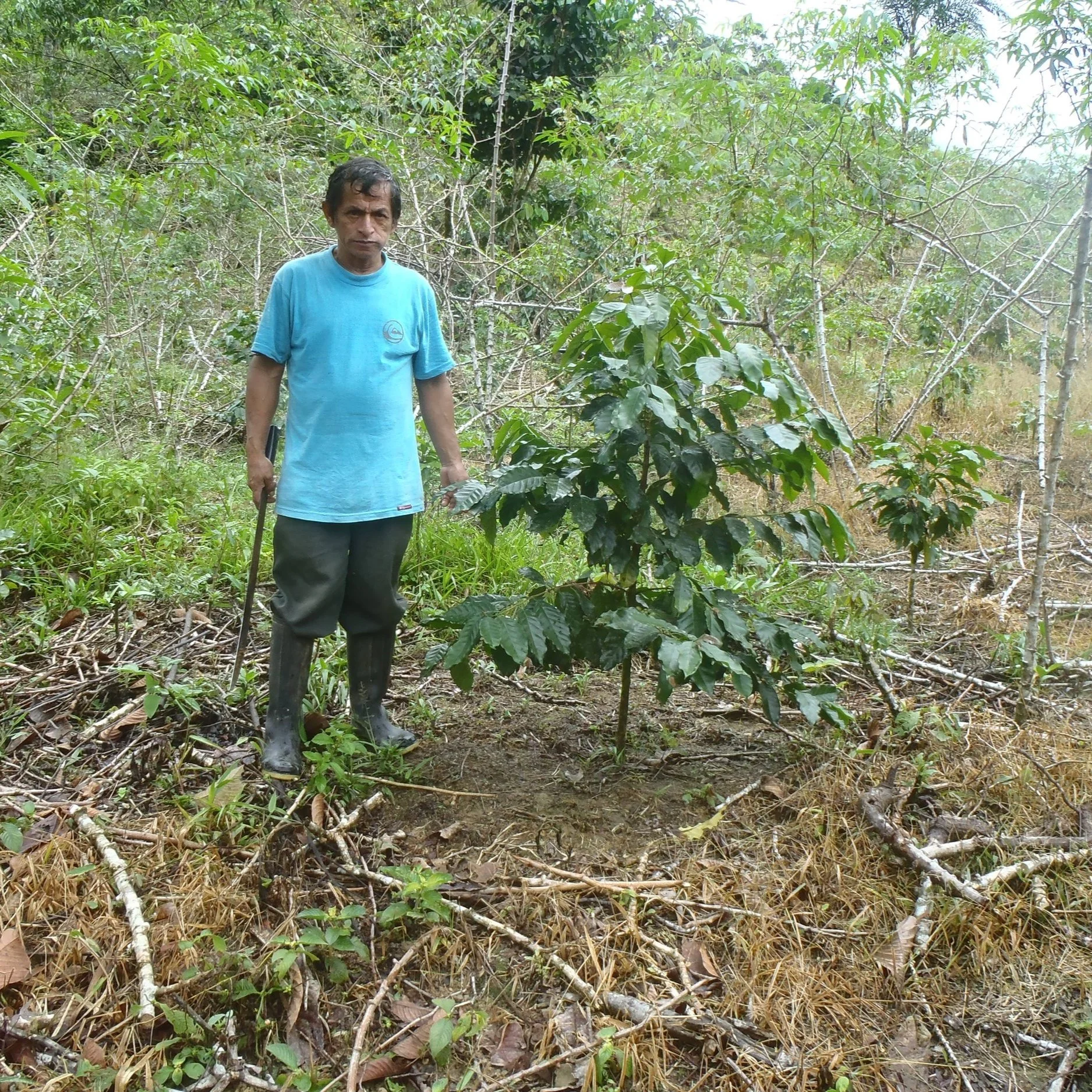 JULIO LA TORRE TORRES.jpg