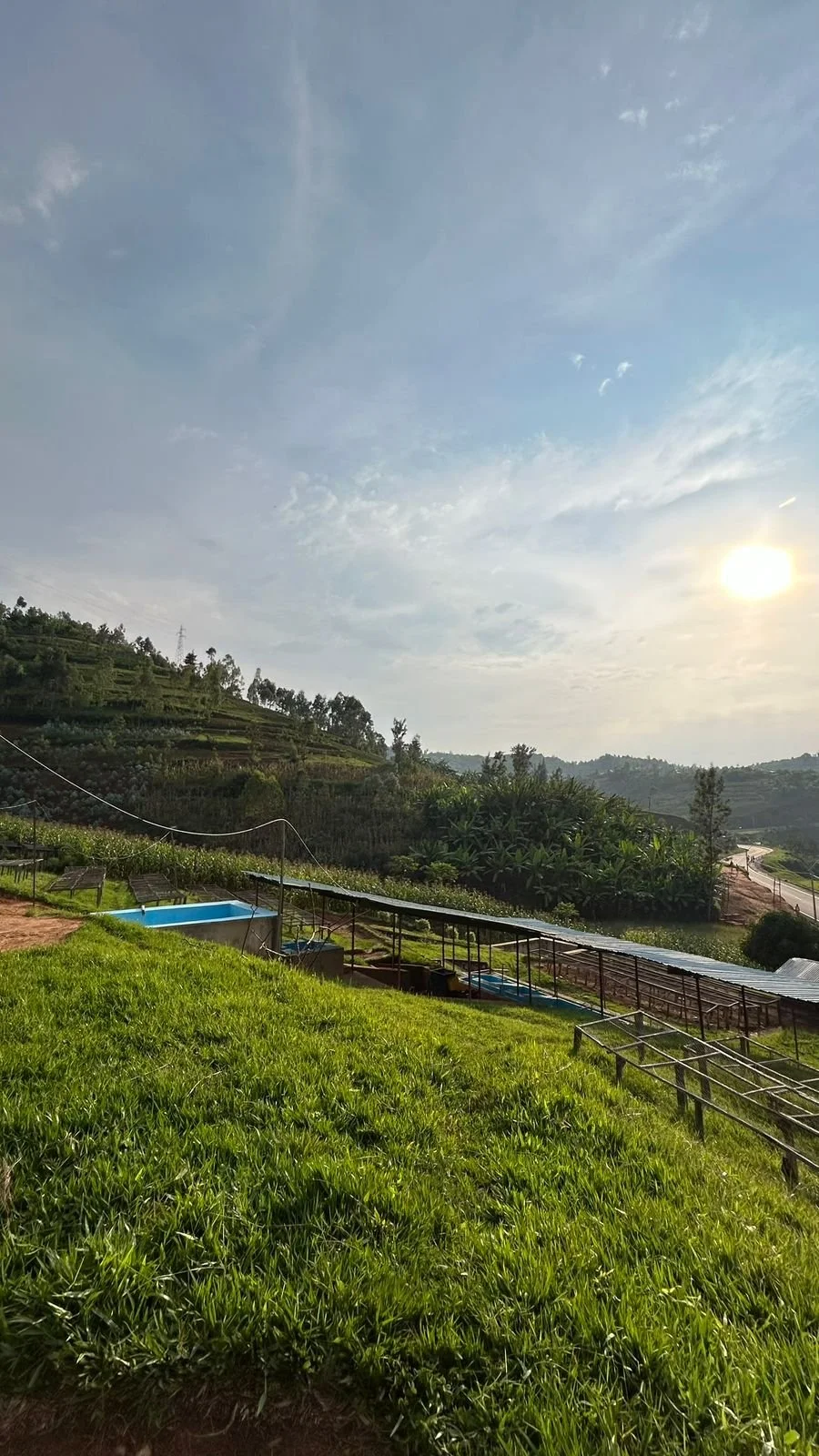 WhatsApp Image 2025-05-23 at 9.50.06 AM (1).jpeg