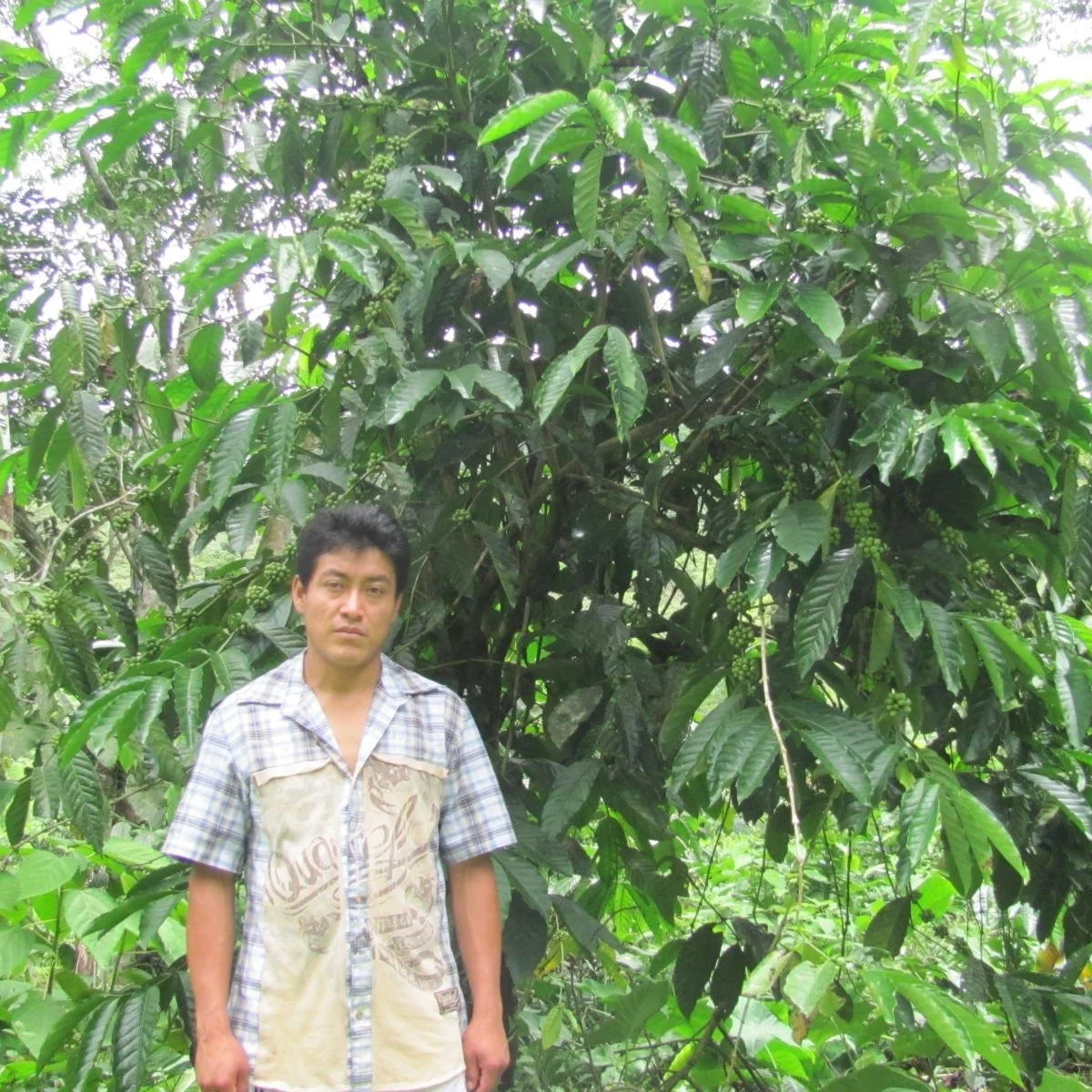 JUAN MARTIN LOPEZ SEBASTIAN.jpg