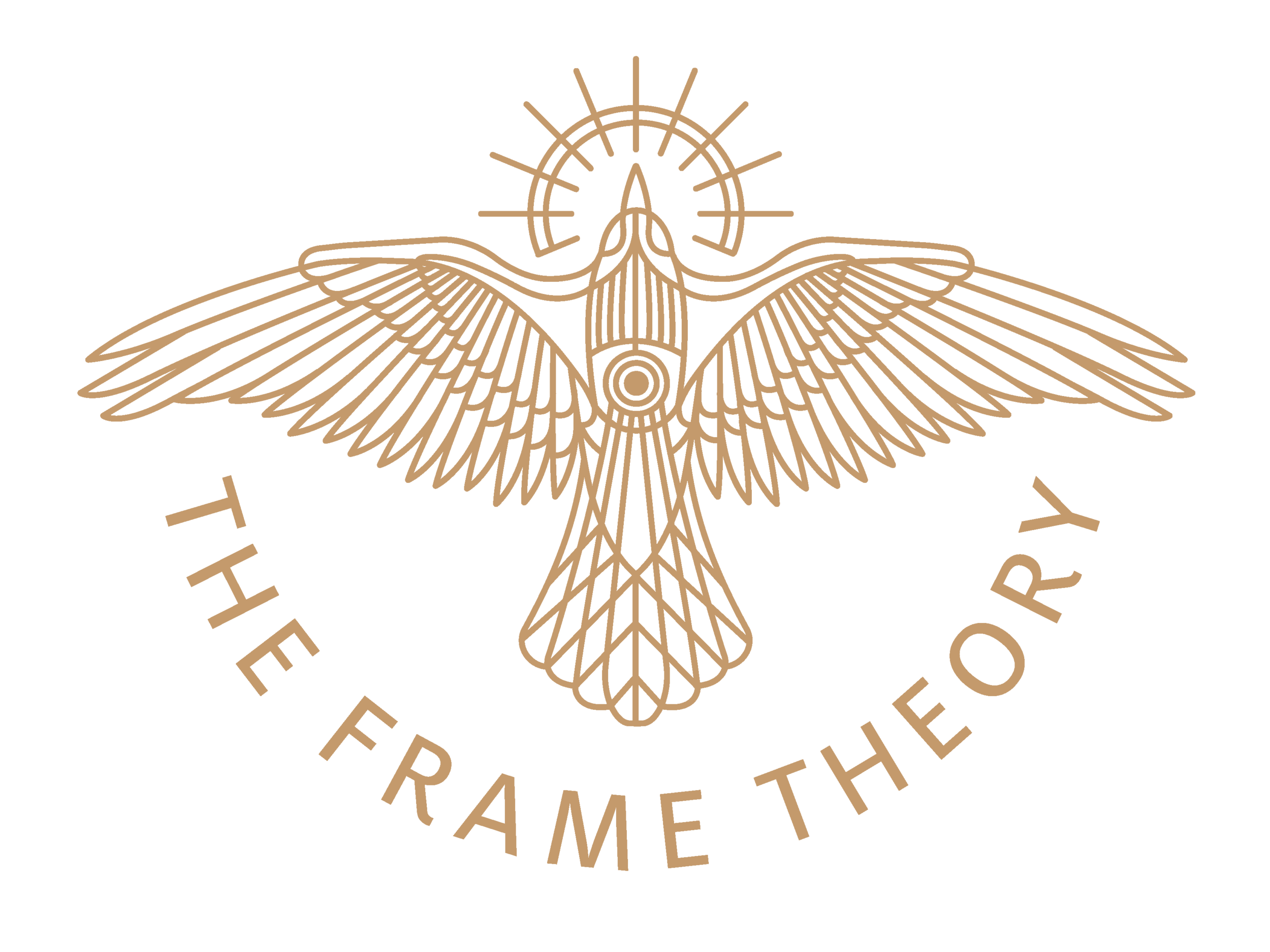 The Frame Theory