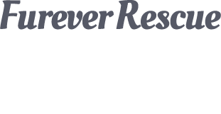 FureverRescue_Logo_NameOnly.png