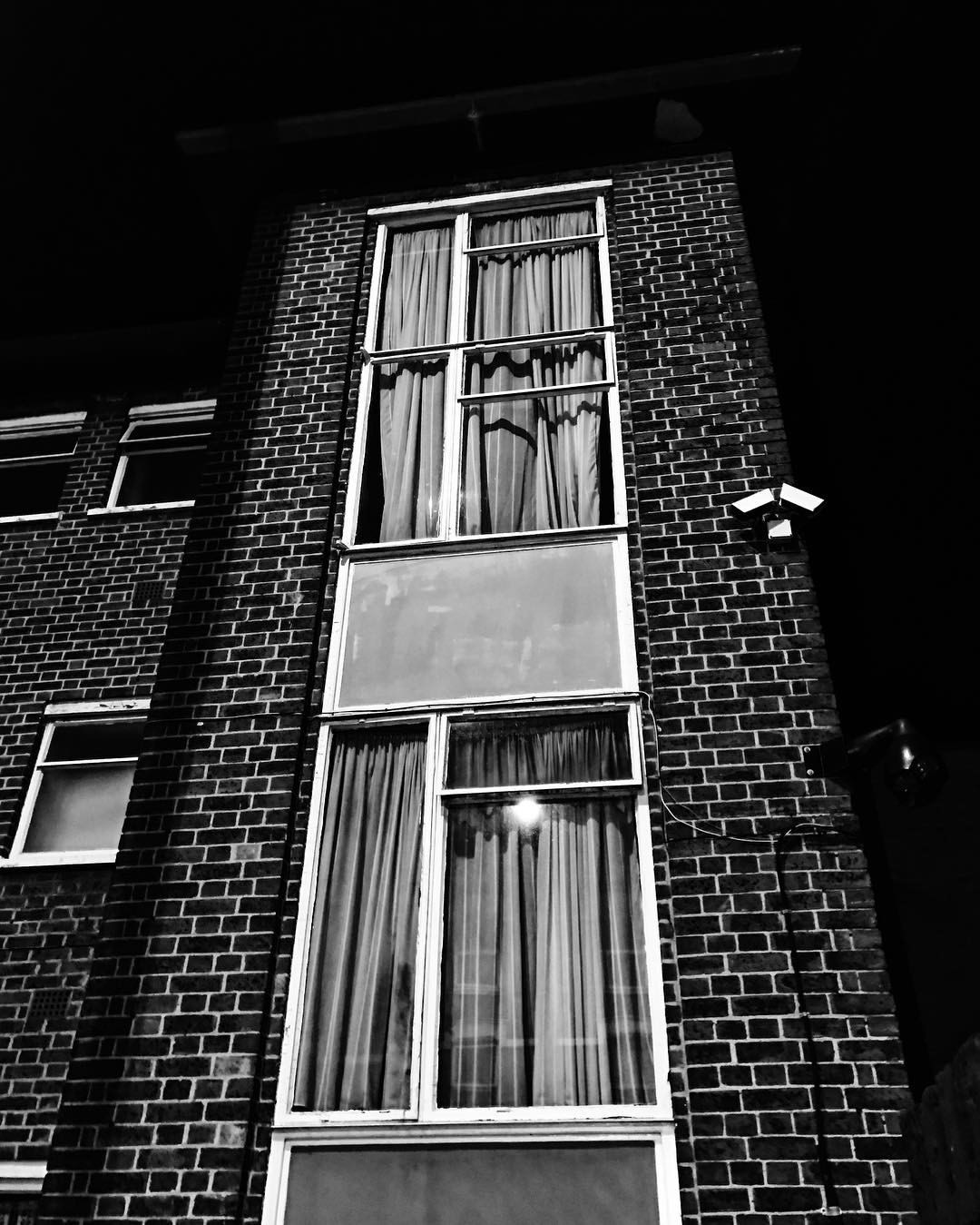 IMG_1907.jpeg