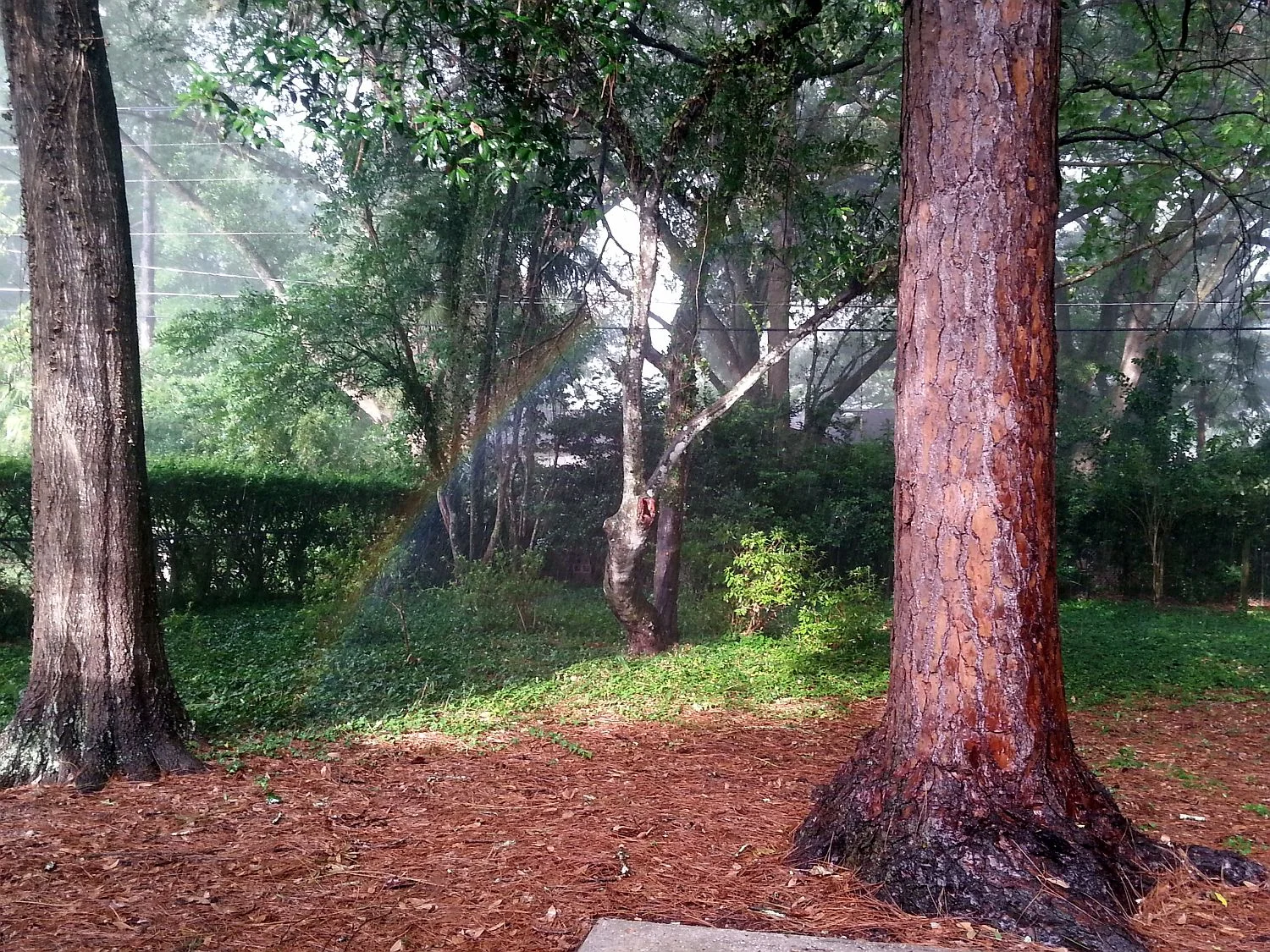 rainbow's end 1.jpg
